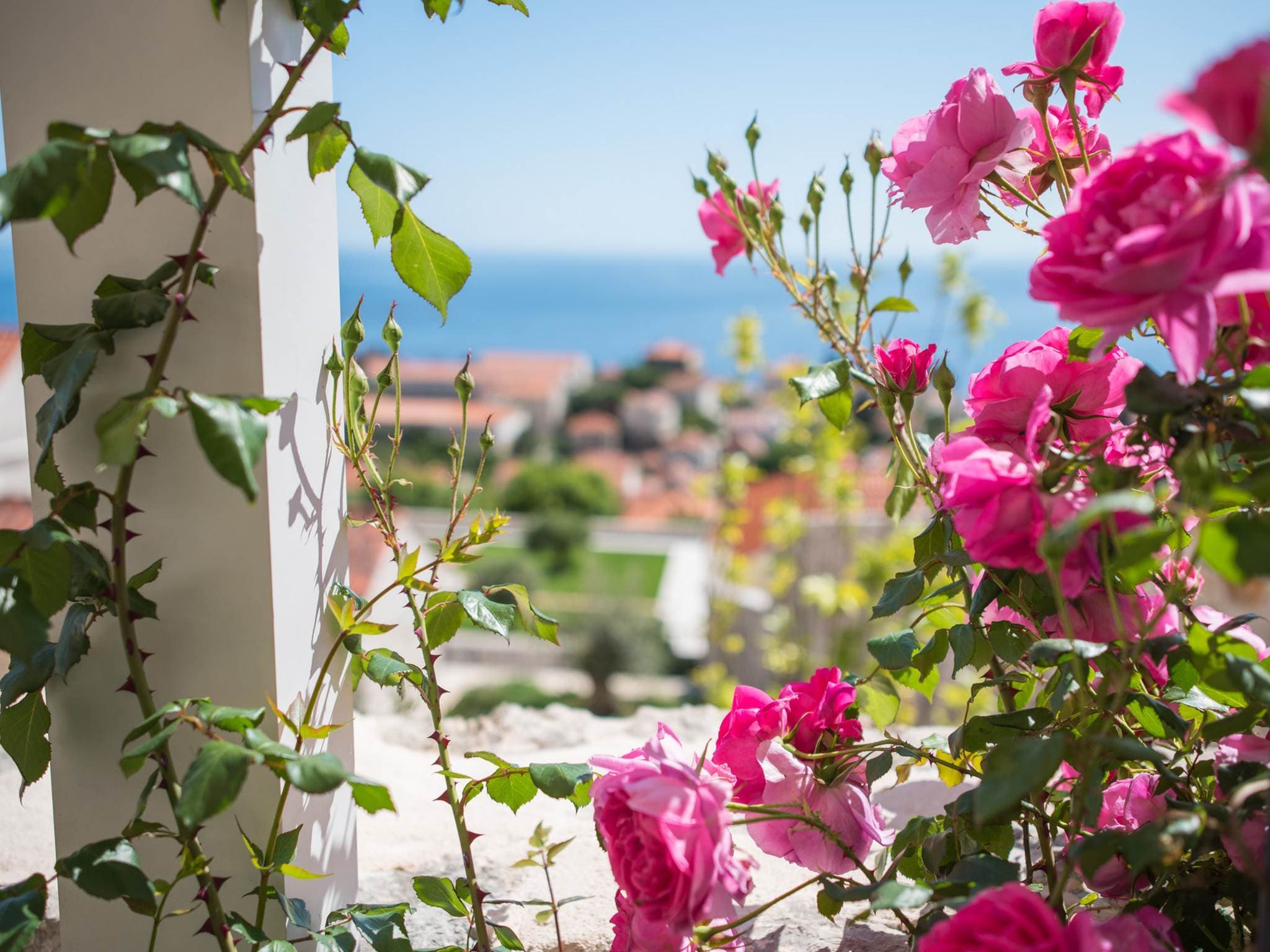 Apartmá Apartment Faros - Two-Bedroom Apartment with Terra