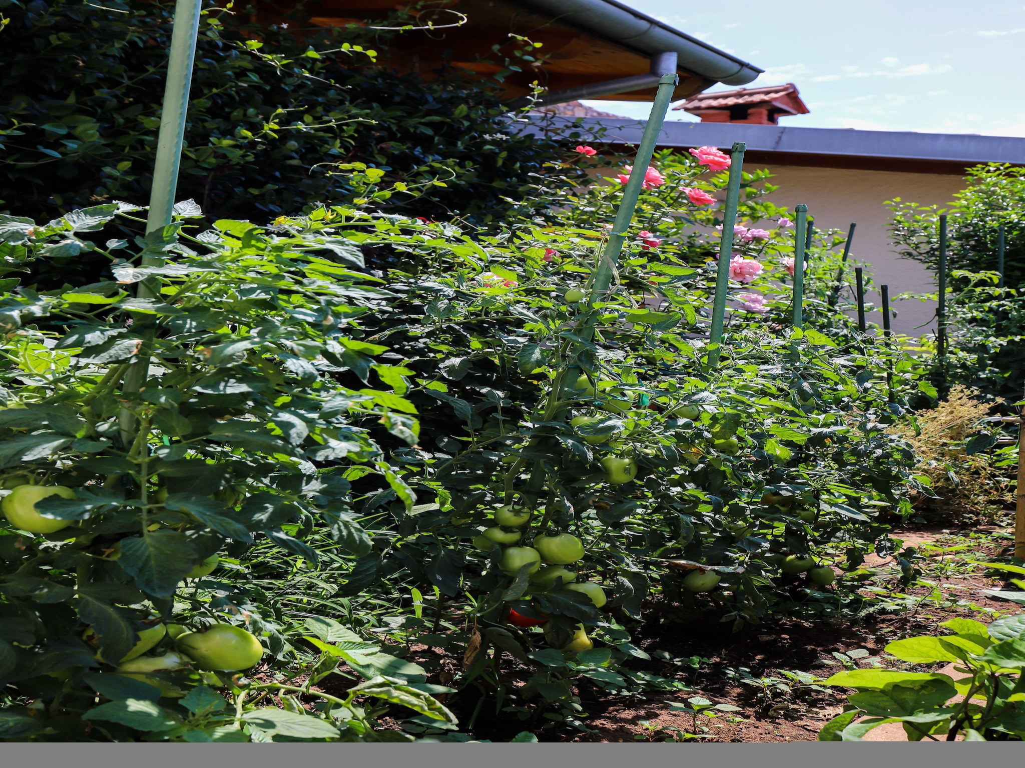 Apartmá Apartment Garden M&M - One Bedroom Apartment