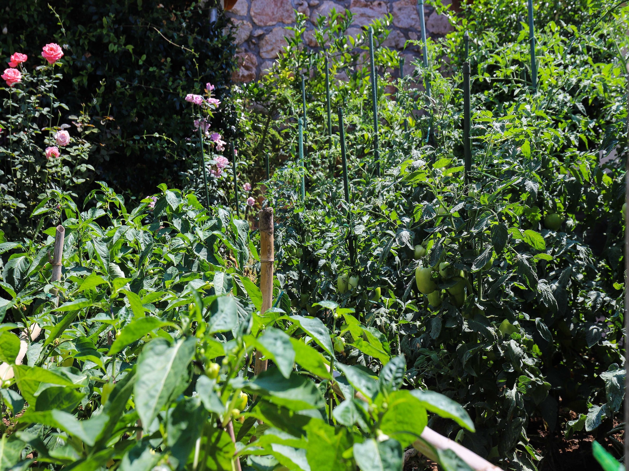 Apartmá Apartment Garden M&M - One Bedroom Apartment