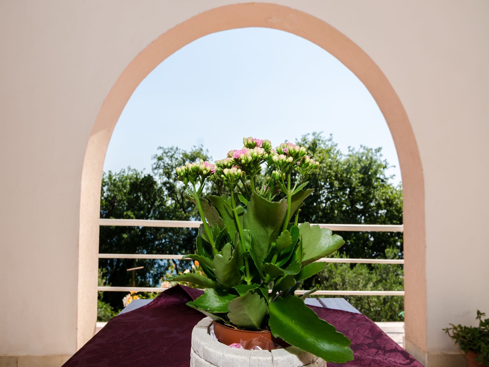 Apartmá Villa Barbara - Comfort Studio with Terrace and Se