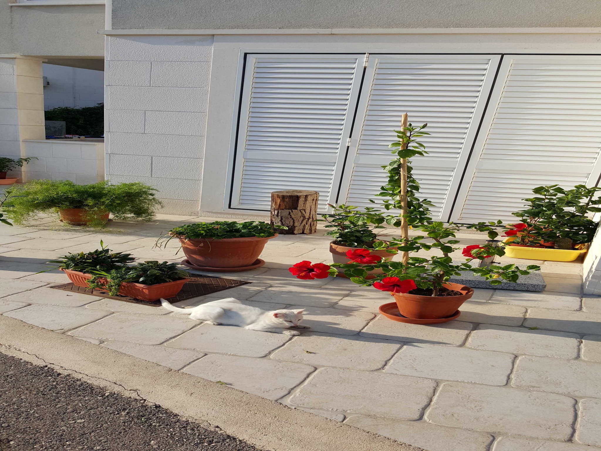 Apartmá Apartments Pojko - One-Bedroom Apartment with Terr