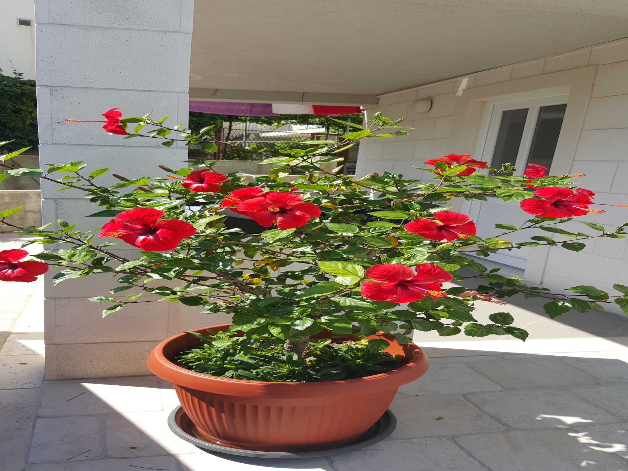 Apartmá Apartments Pojko - One-Bedroom Apartment with Terr