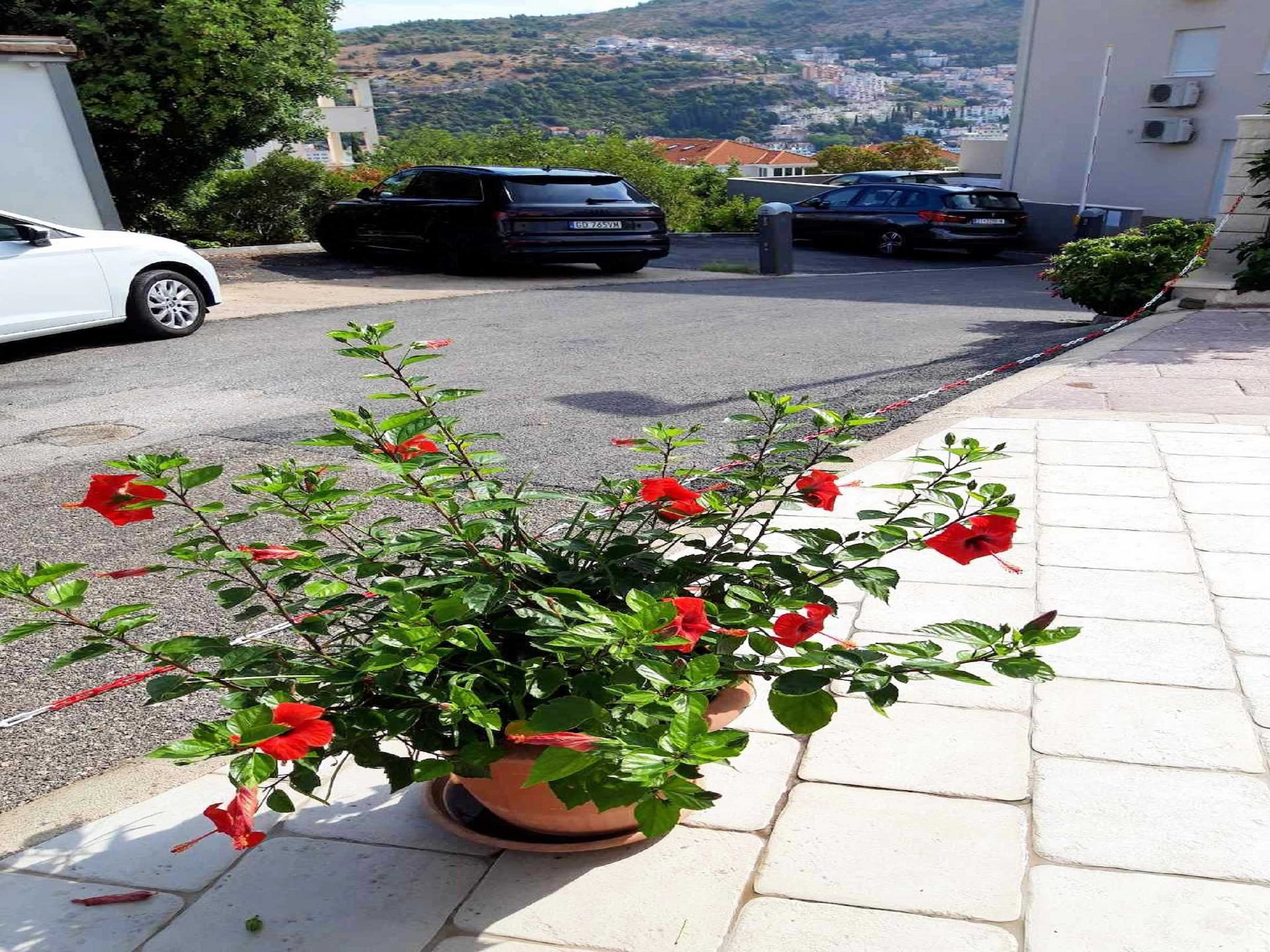 Apartmá Apartments Pojko - Standard One-Bedroom Apartment