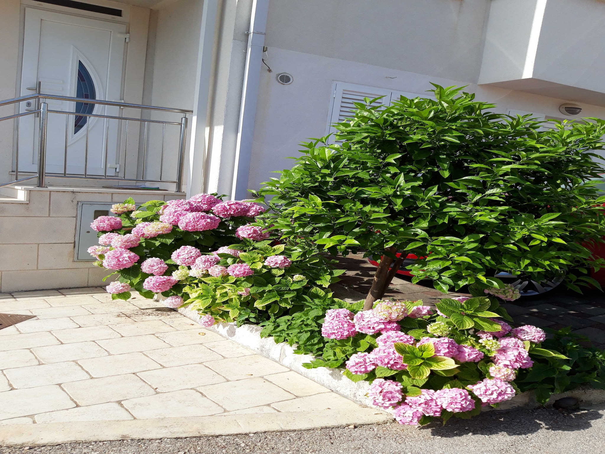 Apartmá Apartments Pojko - Standard One-Bedroom Apartment
