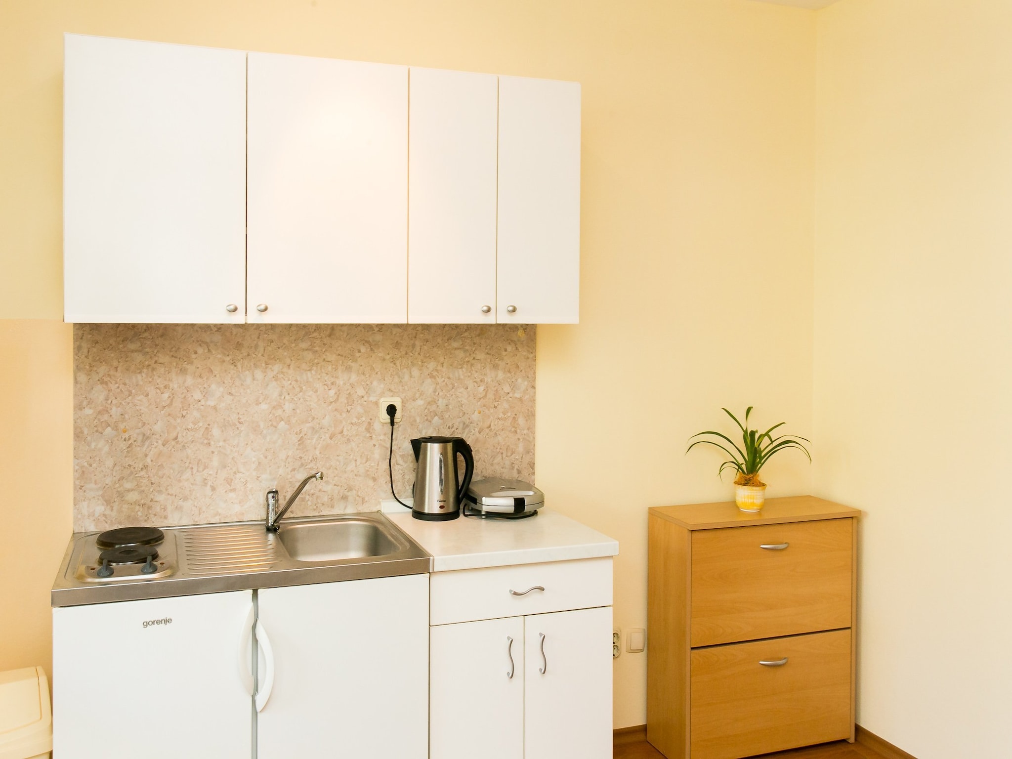 Apartmá Apartments Radic - Studio Apartment (2-3 Adults) -