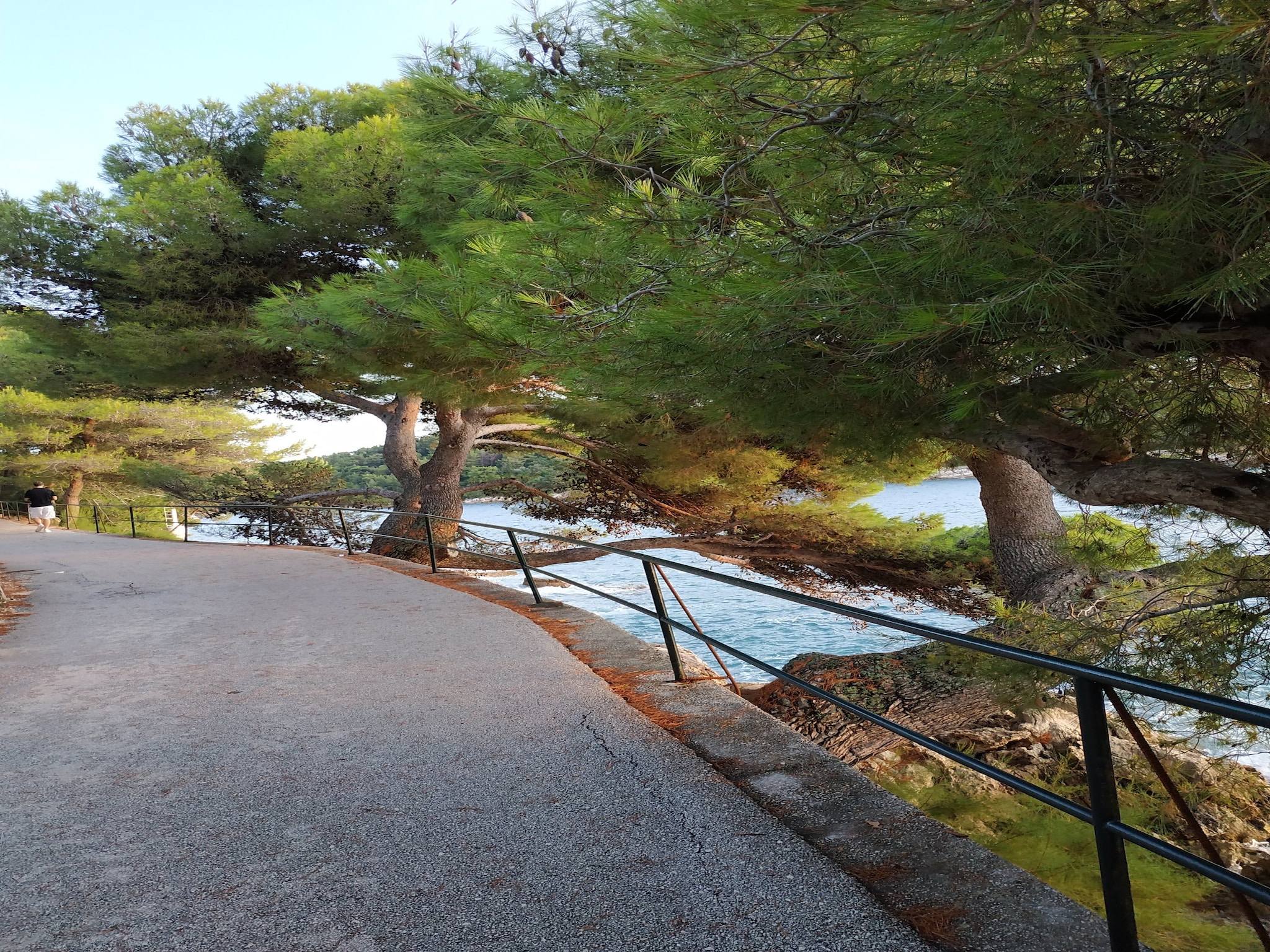 Apartmá Apartment Saul Cavtat  - One Bedroom Apartment wit