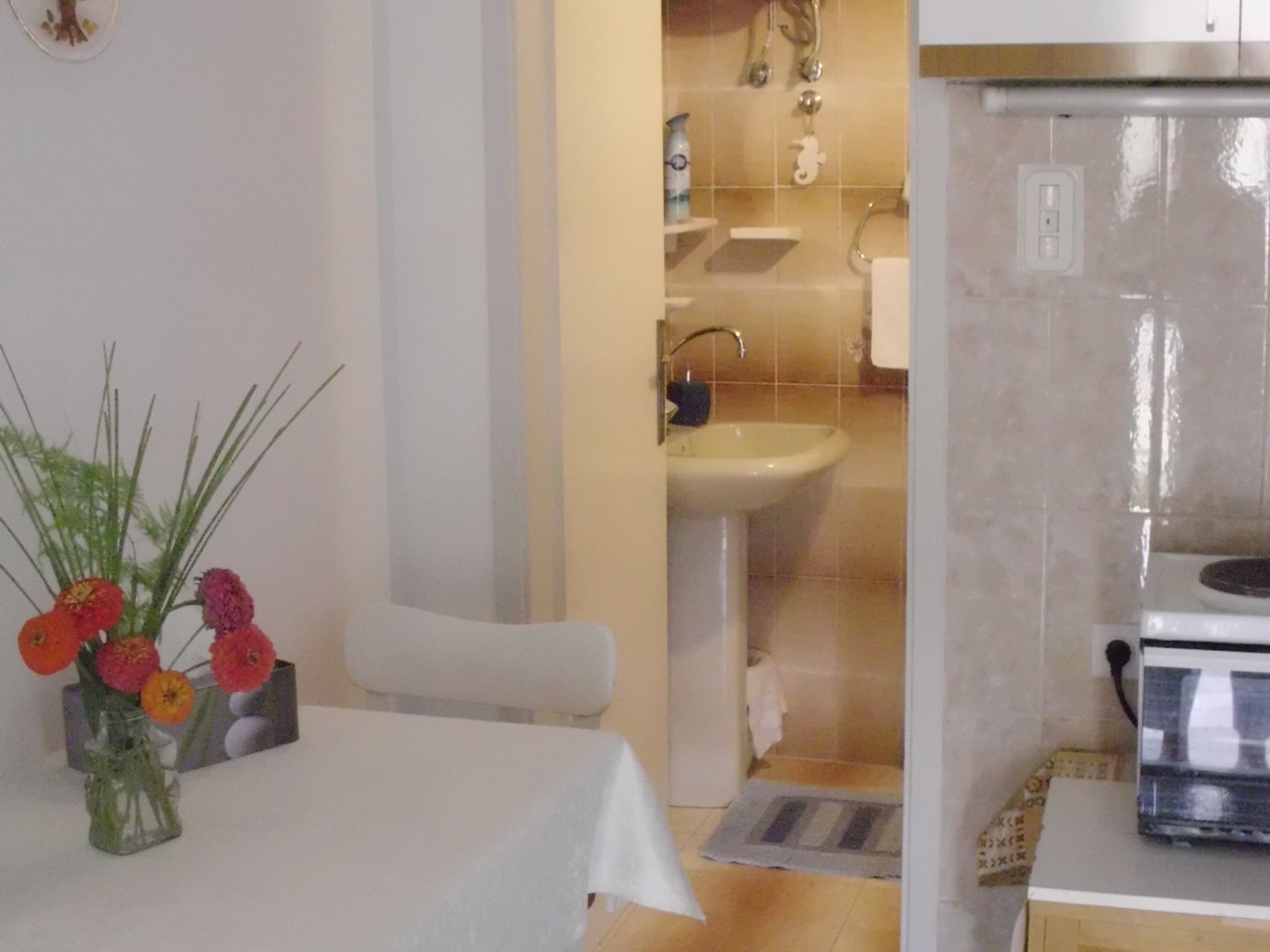 Ferienwohnung Apartments Gorana - One-Bedroom Apartment with Ter