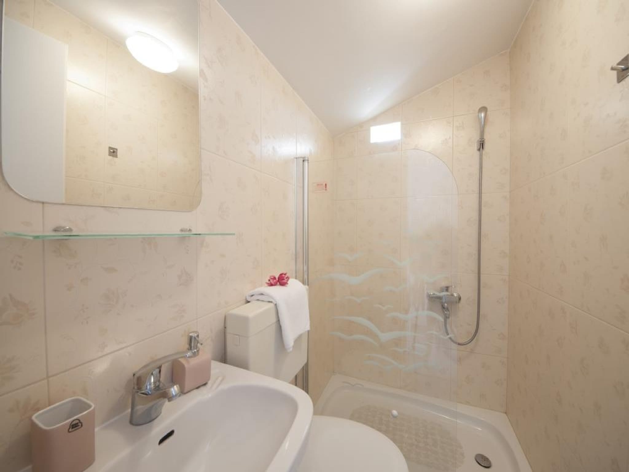 Apartment Apartments Villa Angela - Studio Apartment with Te