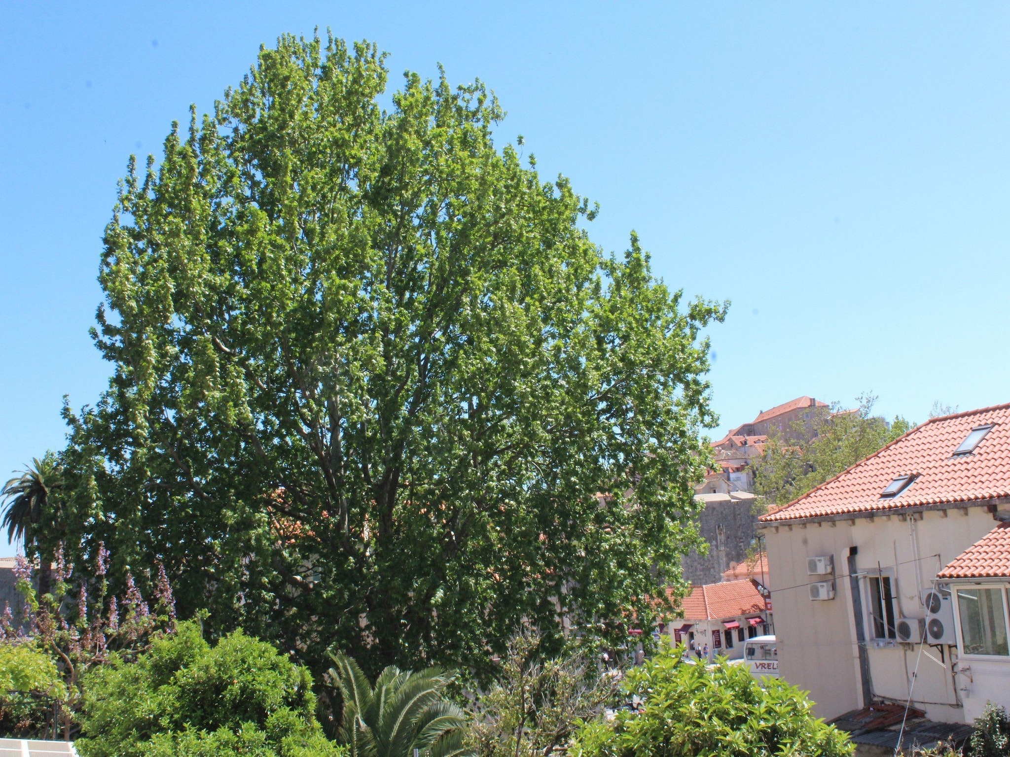 Apartmá Guest House Gugily- Double Room with Shared Bathro