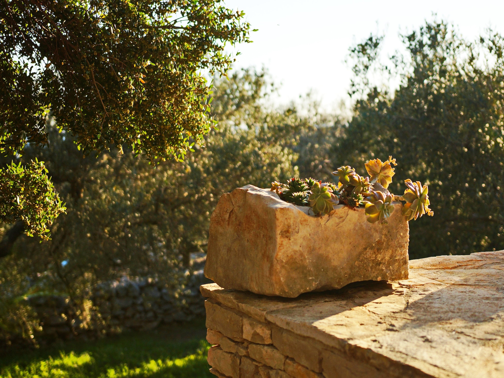   Stone House San Pelegrin-Two Bedroom Holiday Home