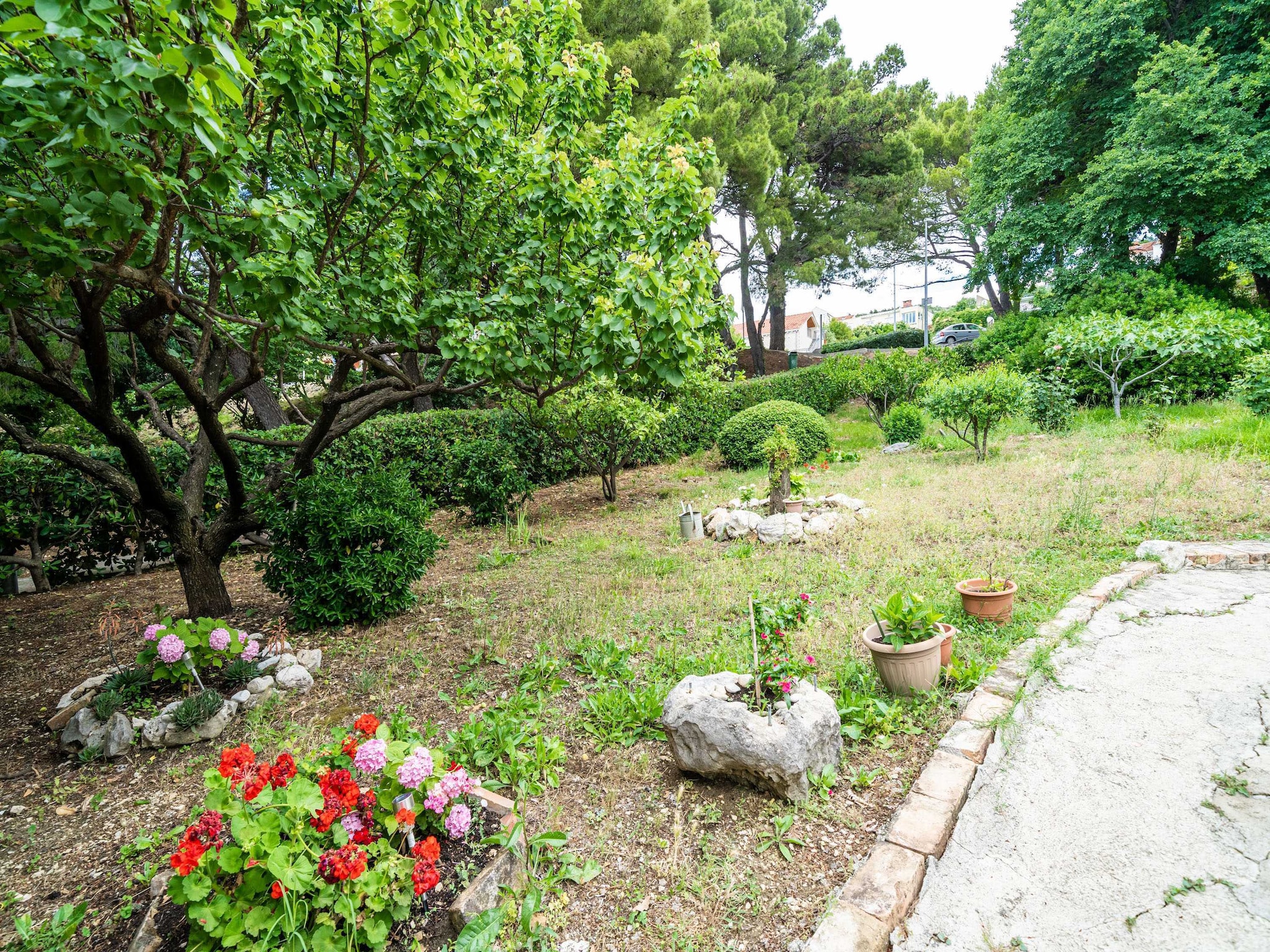 Apartmá Apartment & Rooms Papa - Superior Double or Twin R