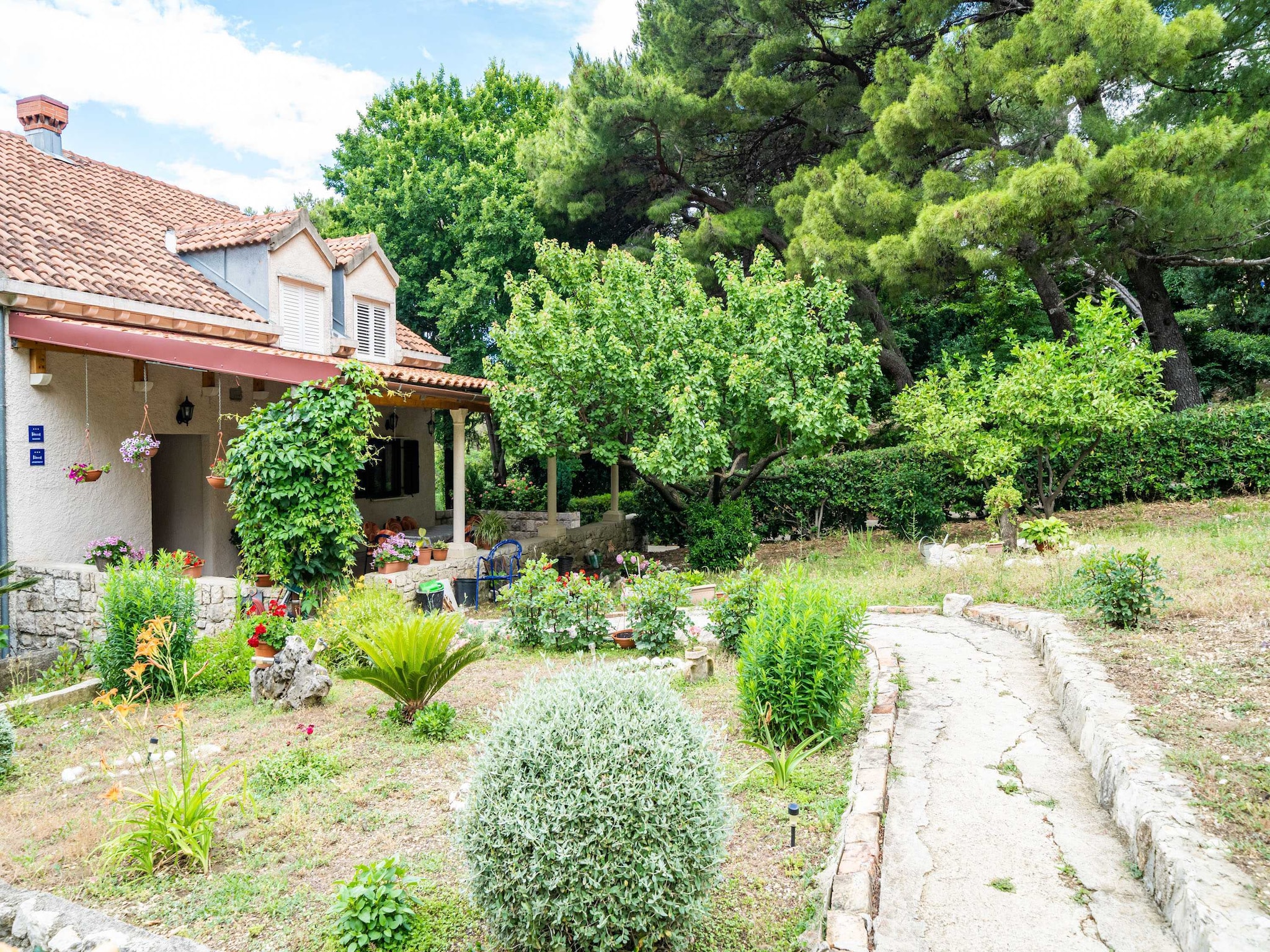 Apartmá Apartment & Rooms Papa - Premium Double or Twin Ro
