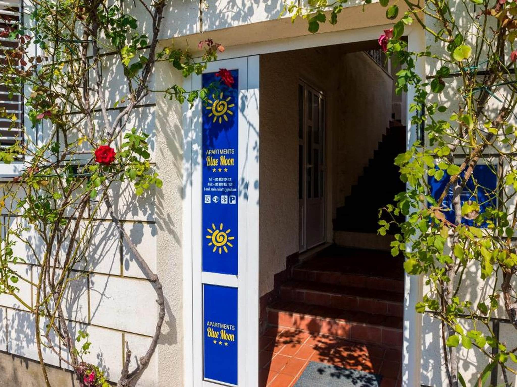 Apartmá Apartments Rašica Molunat- Standard Studio Ap