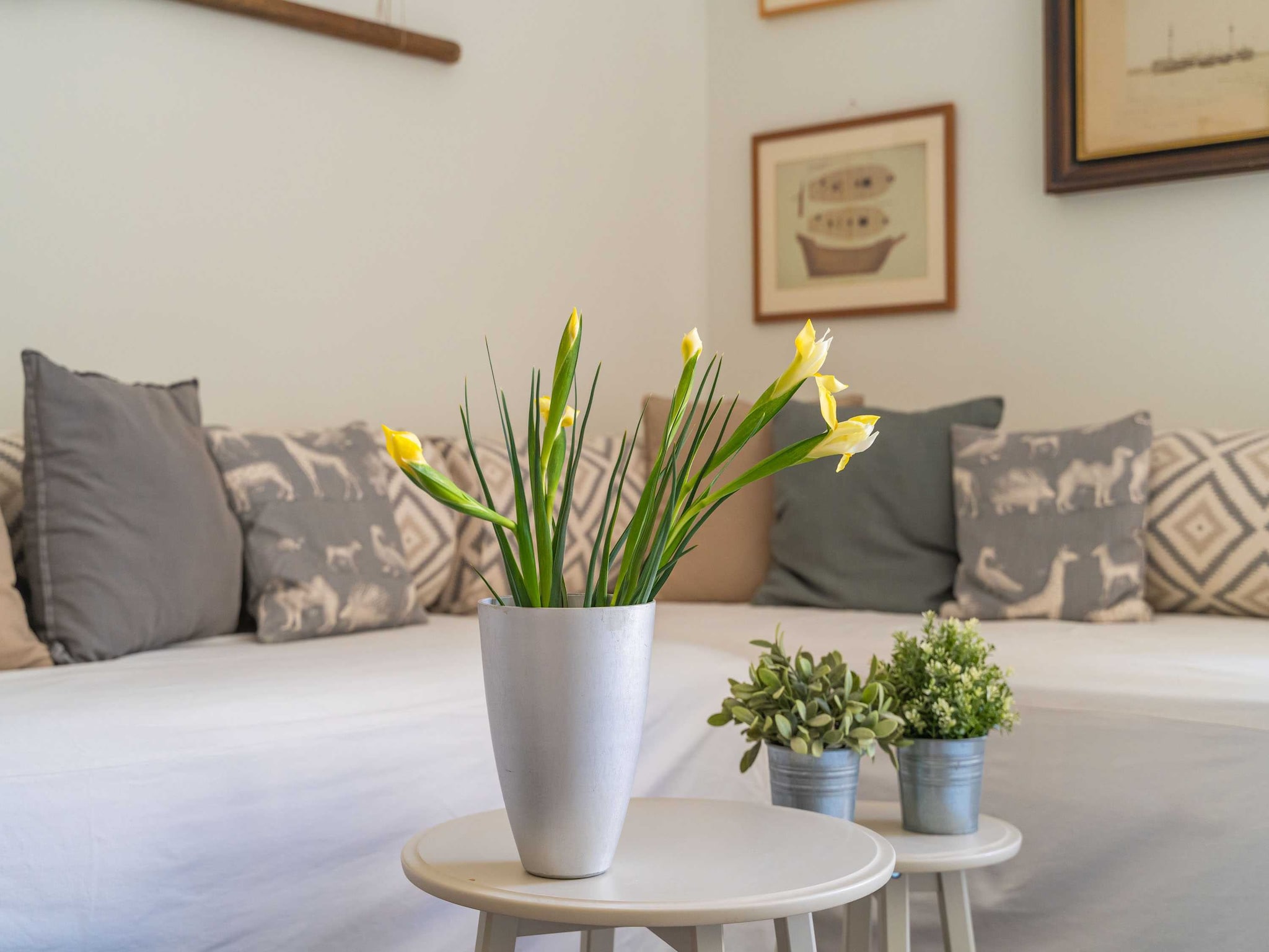 Apartmá Apartment Ranieri - One Bedroom Apartment with Cit