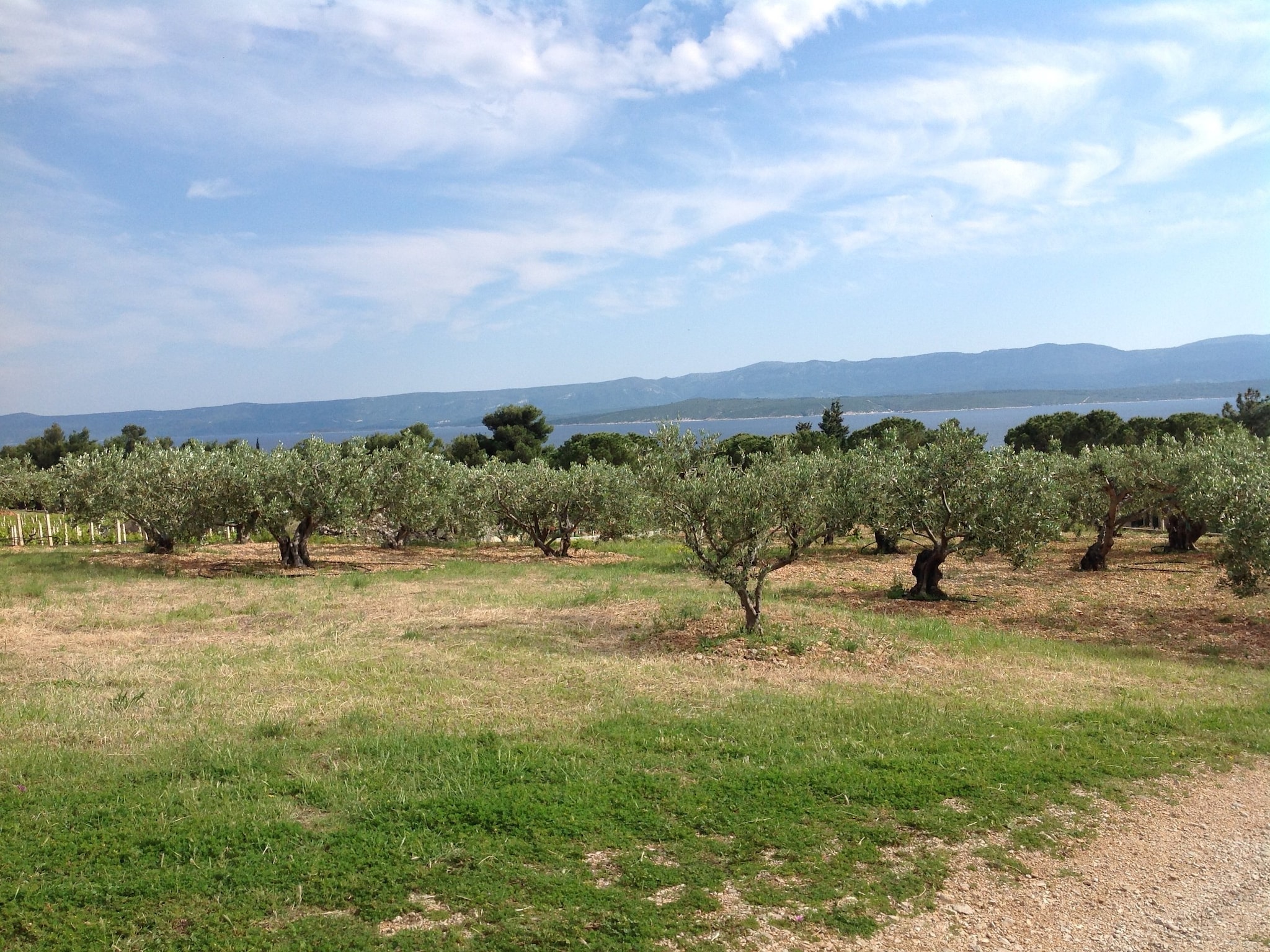   Holiday Home Oliva - Holiday House with Terrace an