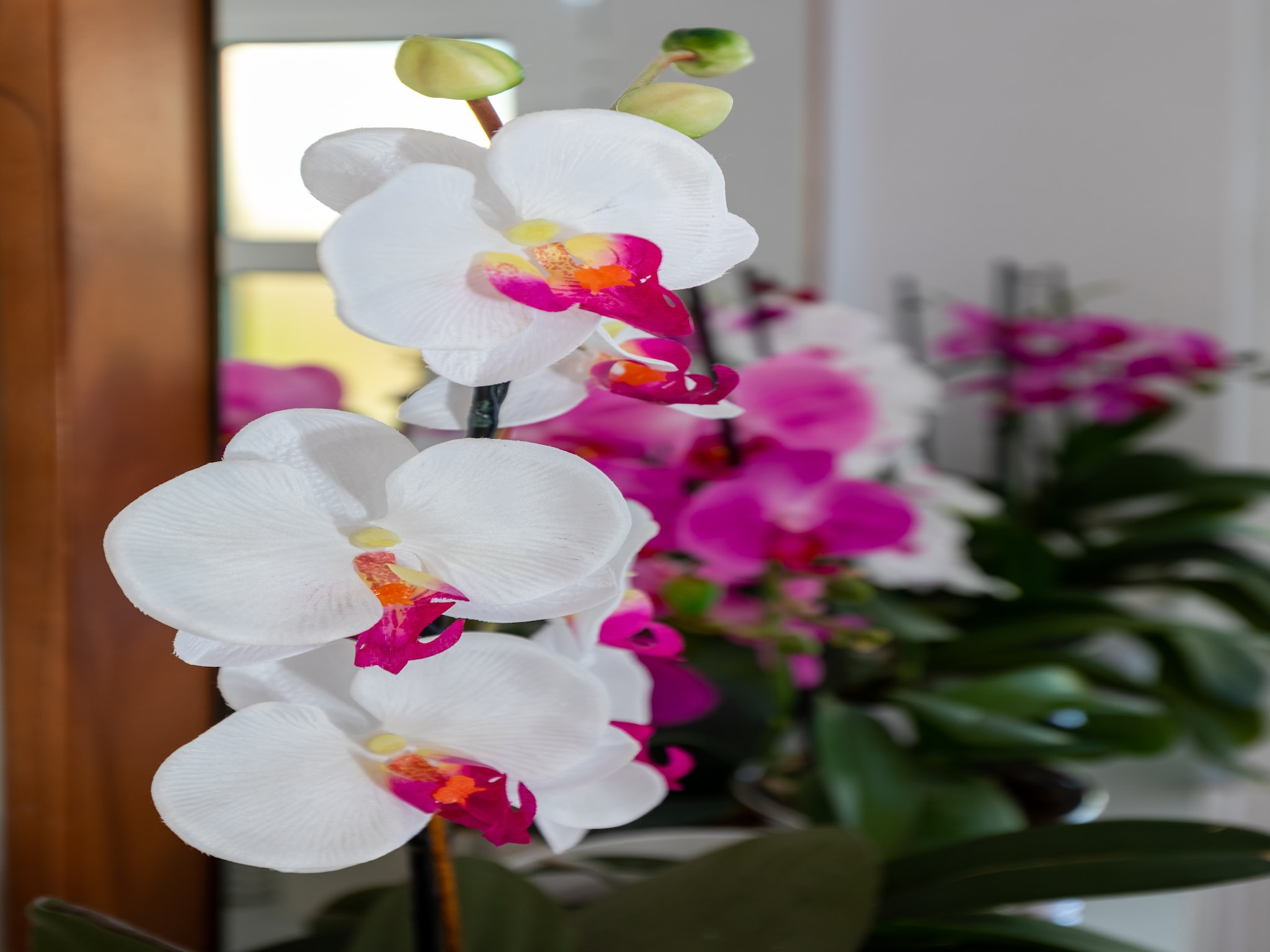 Apartmá Apartments Blažević - Two Bedroom Apt wi