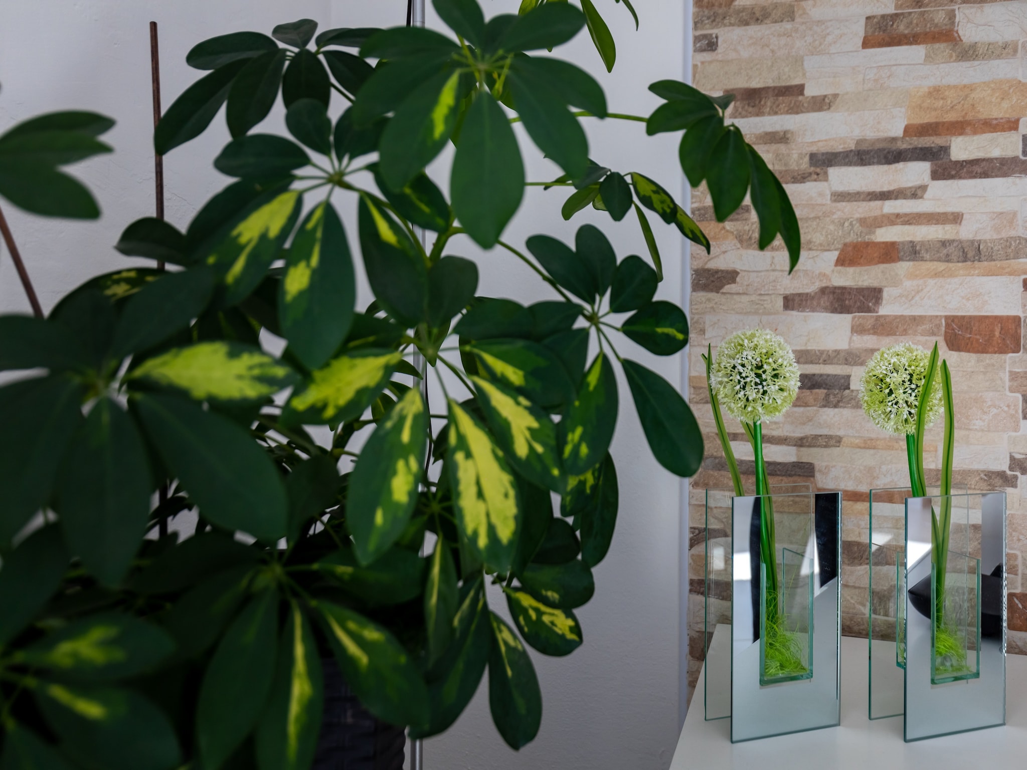 Apartmá Apartments Blažević - Two Bedroom Apt wi