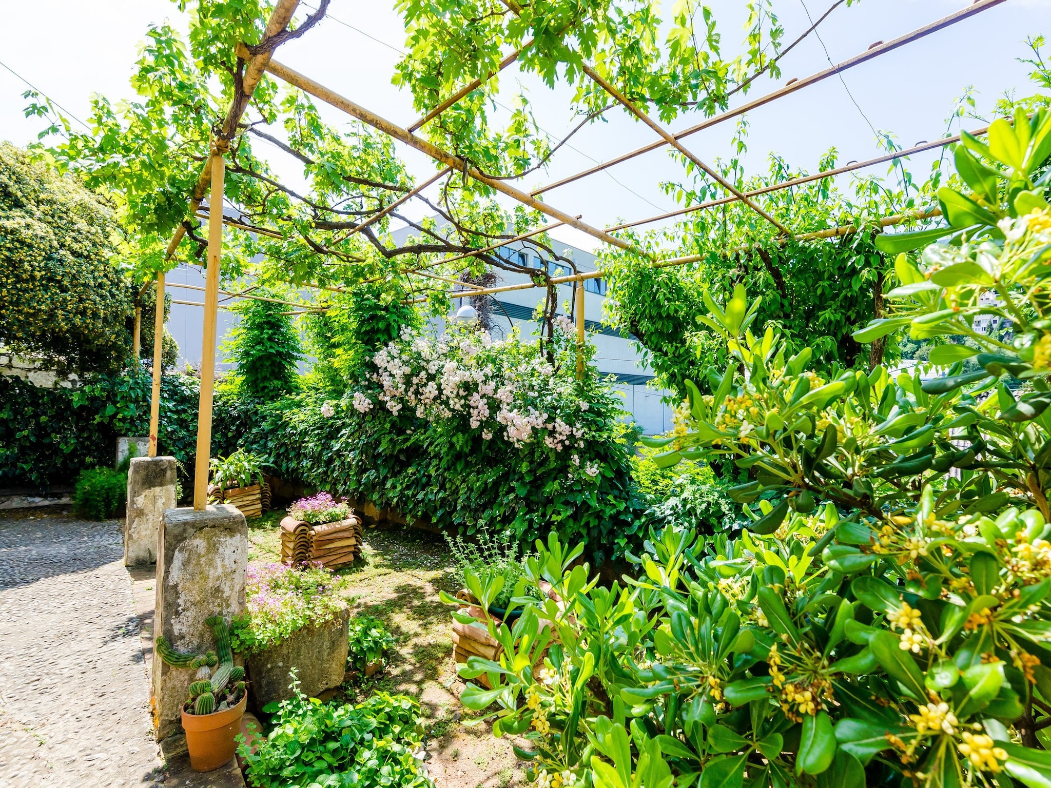 Apartmá Guest House Ivana -Two Bedroom Apartment with Gard