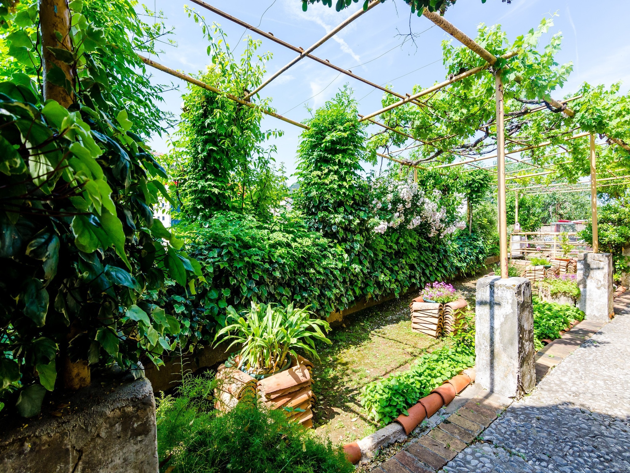 Apartmá Guest House Ivana -Two Bedroom Apartment with Gard
