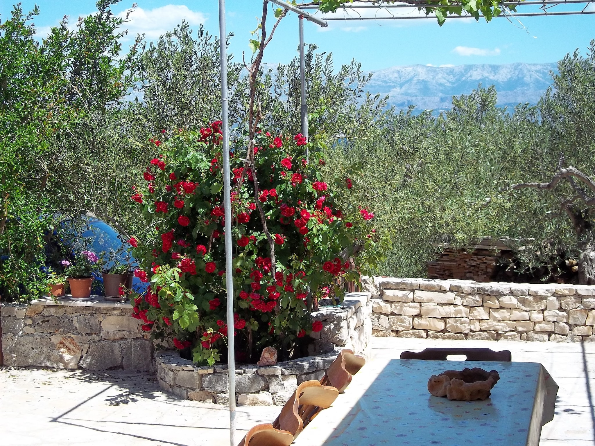   Holiday Home Ruža - Holiday Home with Terrace