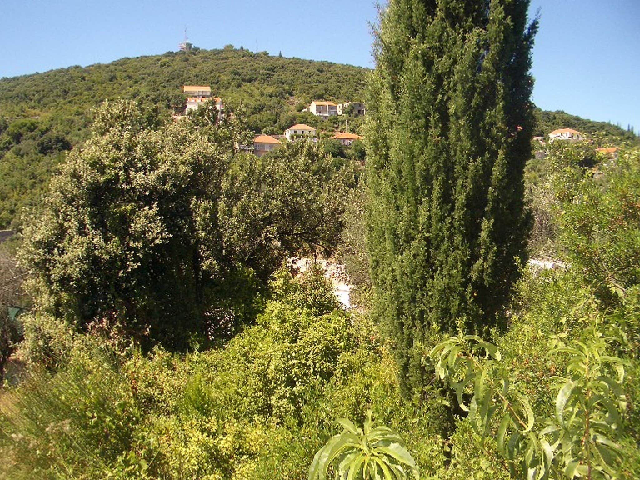 Apartmá Apartment Dario - One Bedroom Apartment with Terra