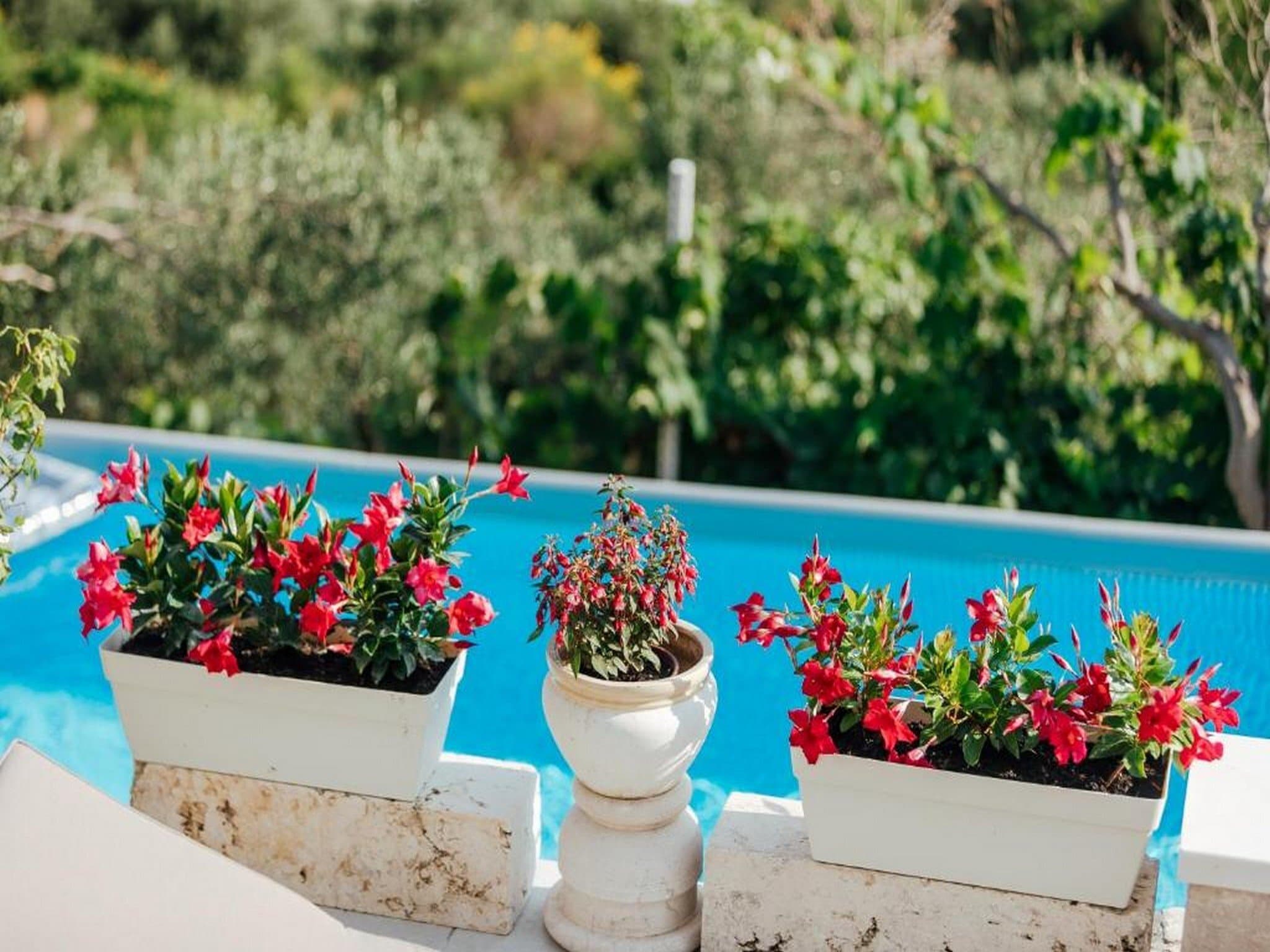   Cottage Ciara - One bedroom Holiday Home with pool