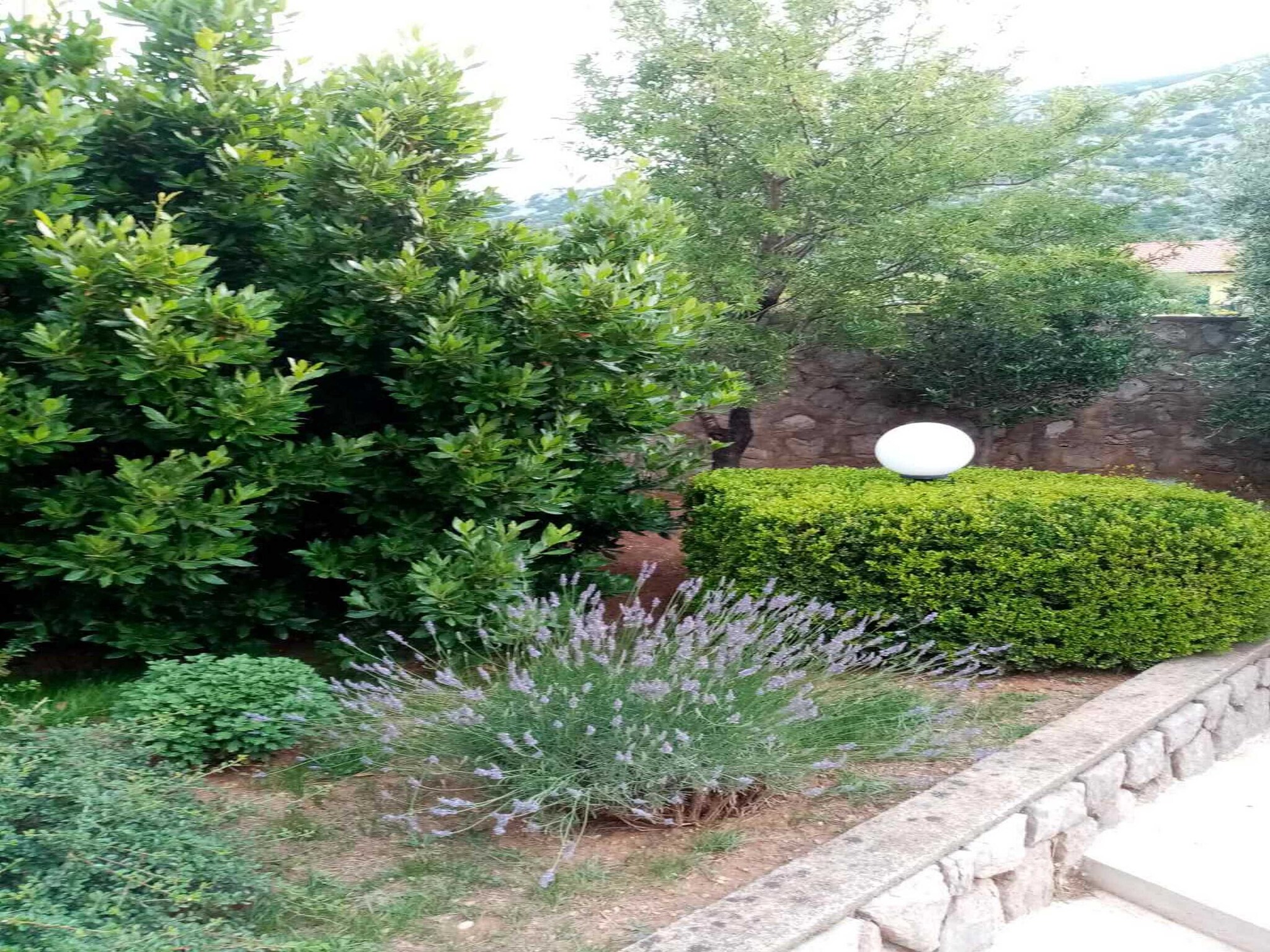 Appartement Apartments Paola - Studio Apartment with Terrace a