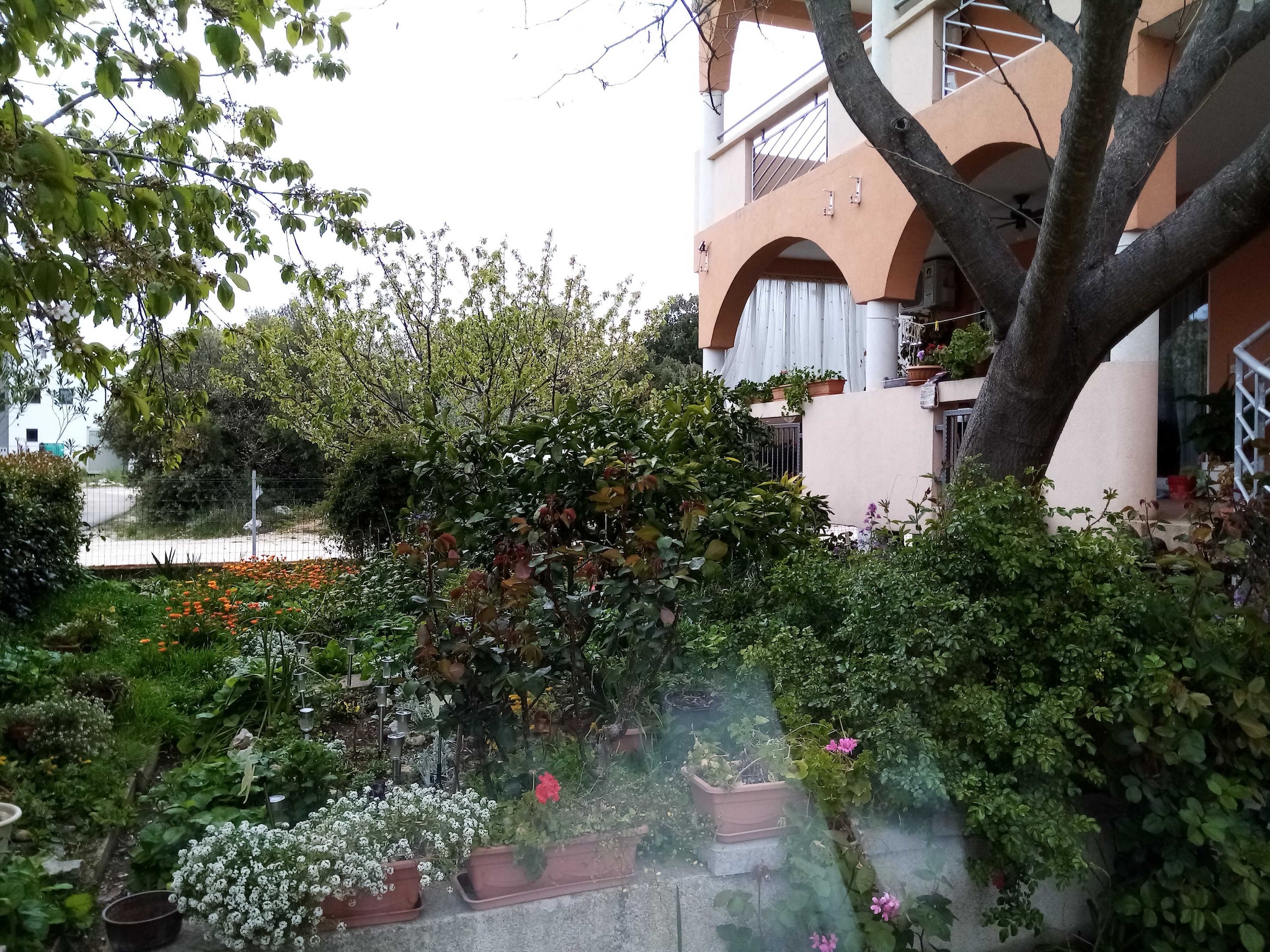 Apartmá Apartments Vanja Škara Biograd - Studio Apart