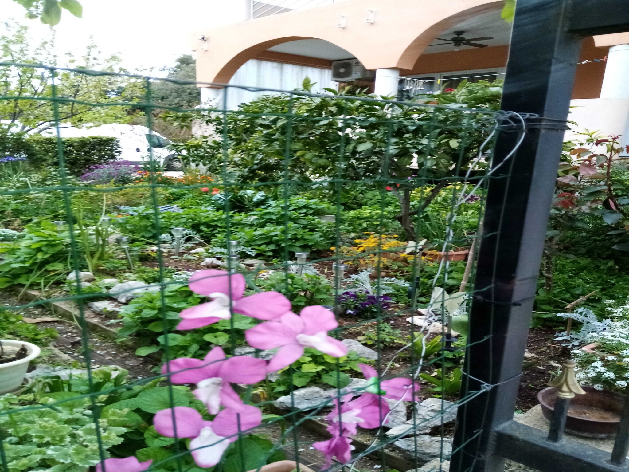 Apartmá Apartments Vanja Škara Biograd - Studio Apart