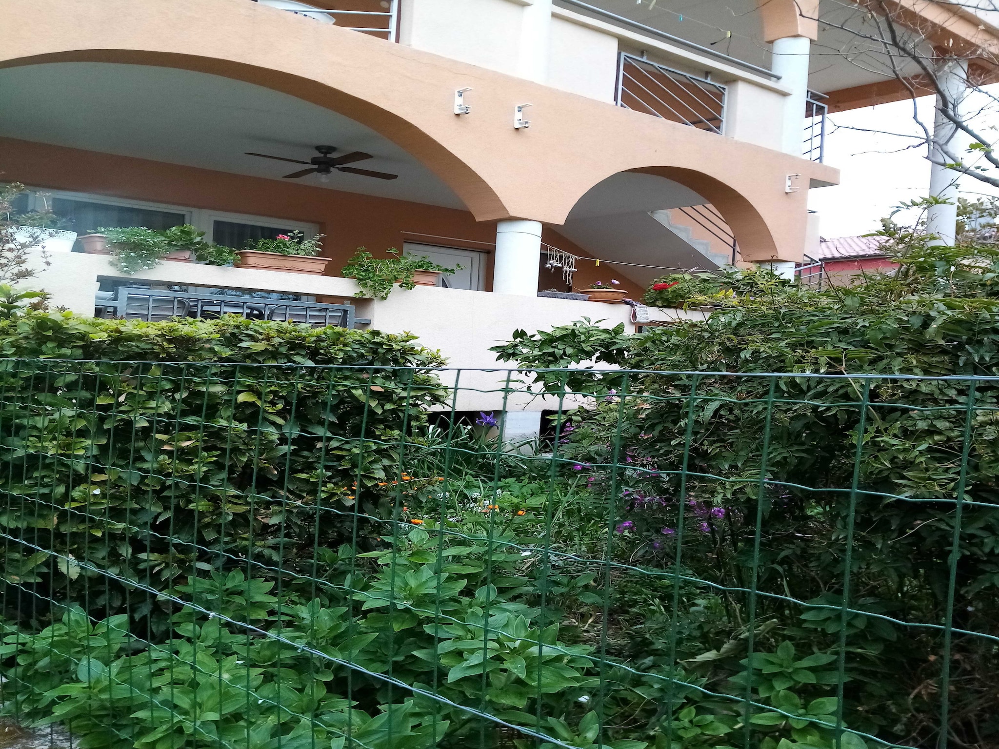 Apartmá Apartments Vanja Škara Biograd - Studio Apart