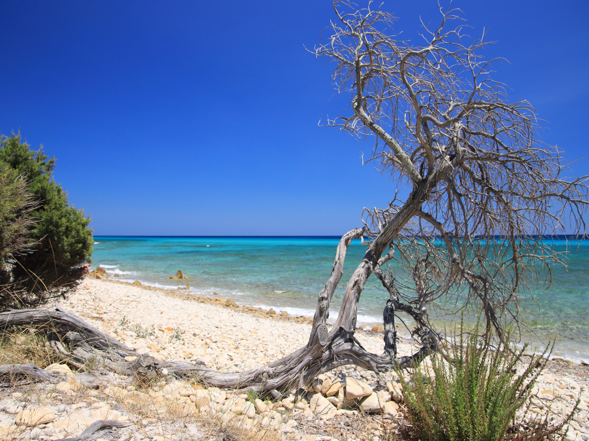 Apartamento Le Residence del Golfo Orosei Bilo 4