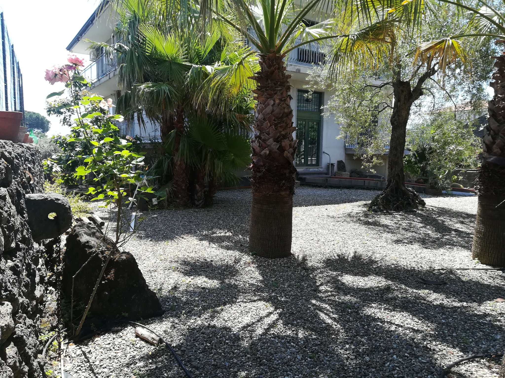 Appartement Appartamento Le Palme