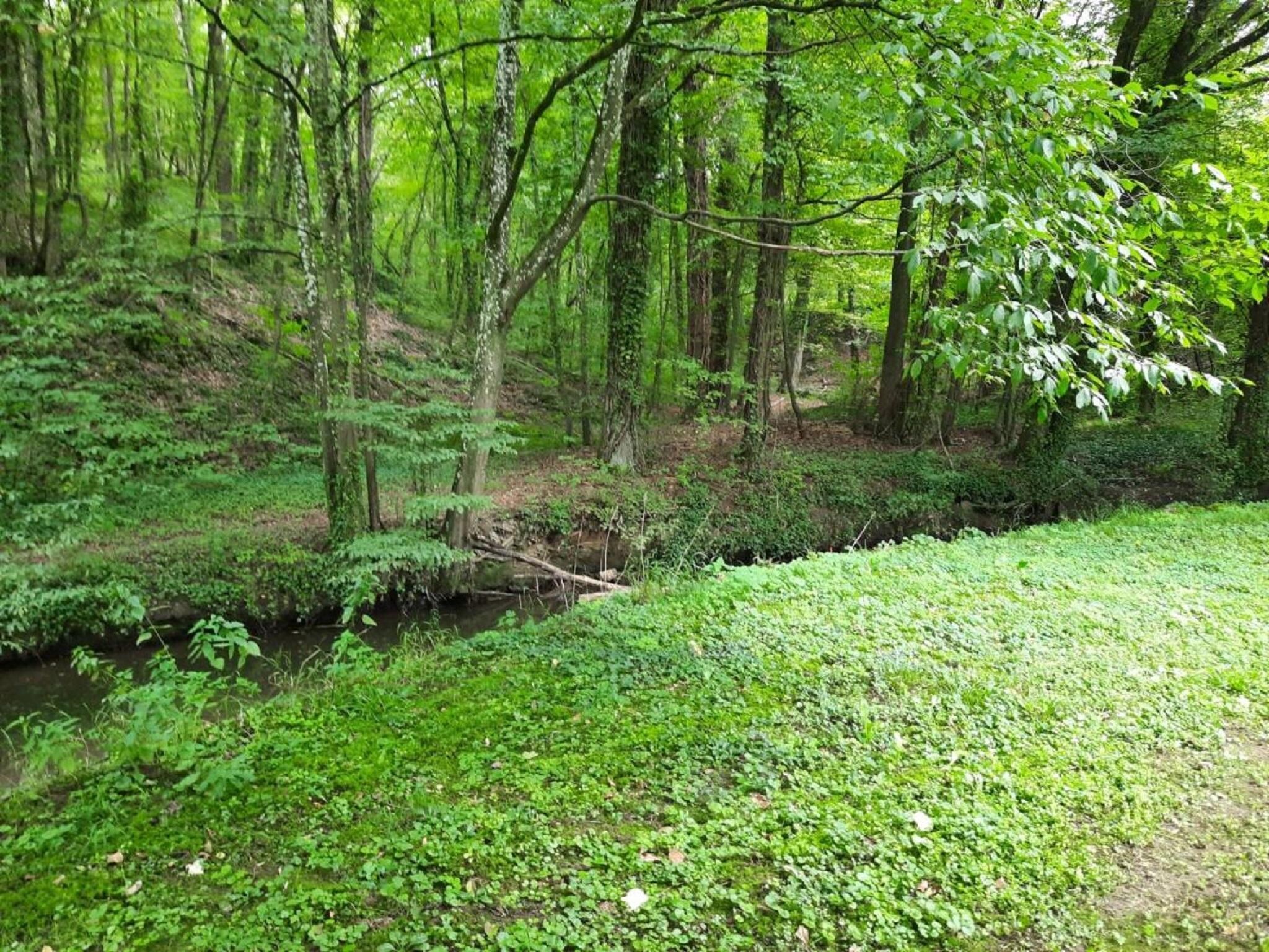   Domaine Le Ry d'Ave