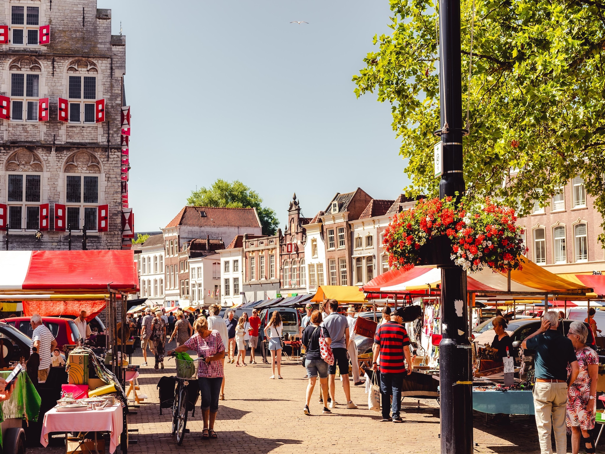   Vakantiepark Cape Helius 24