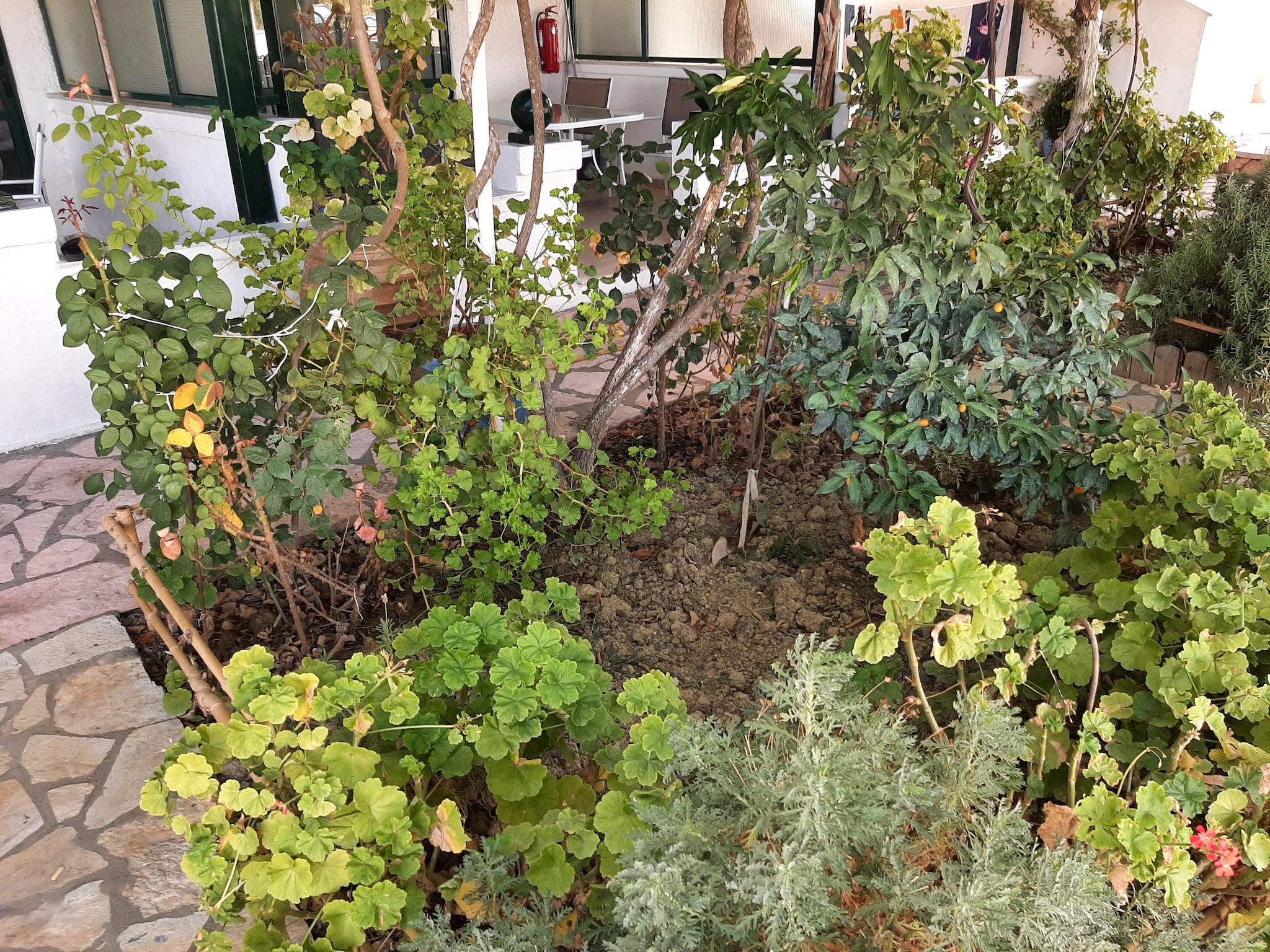 Appartamento Andromaches Apartments Apartment B