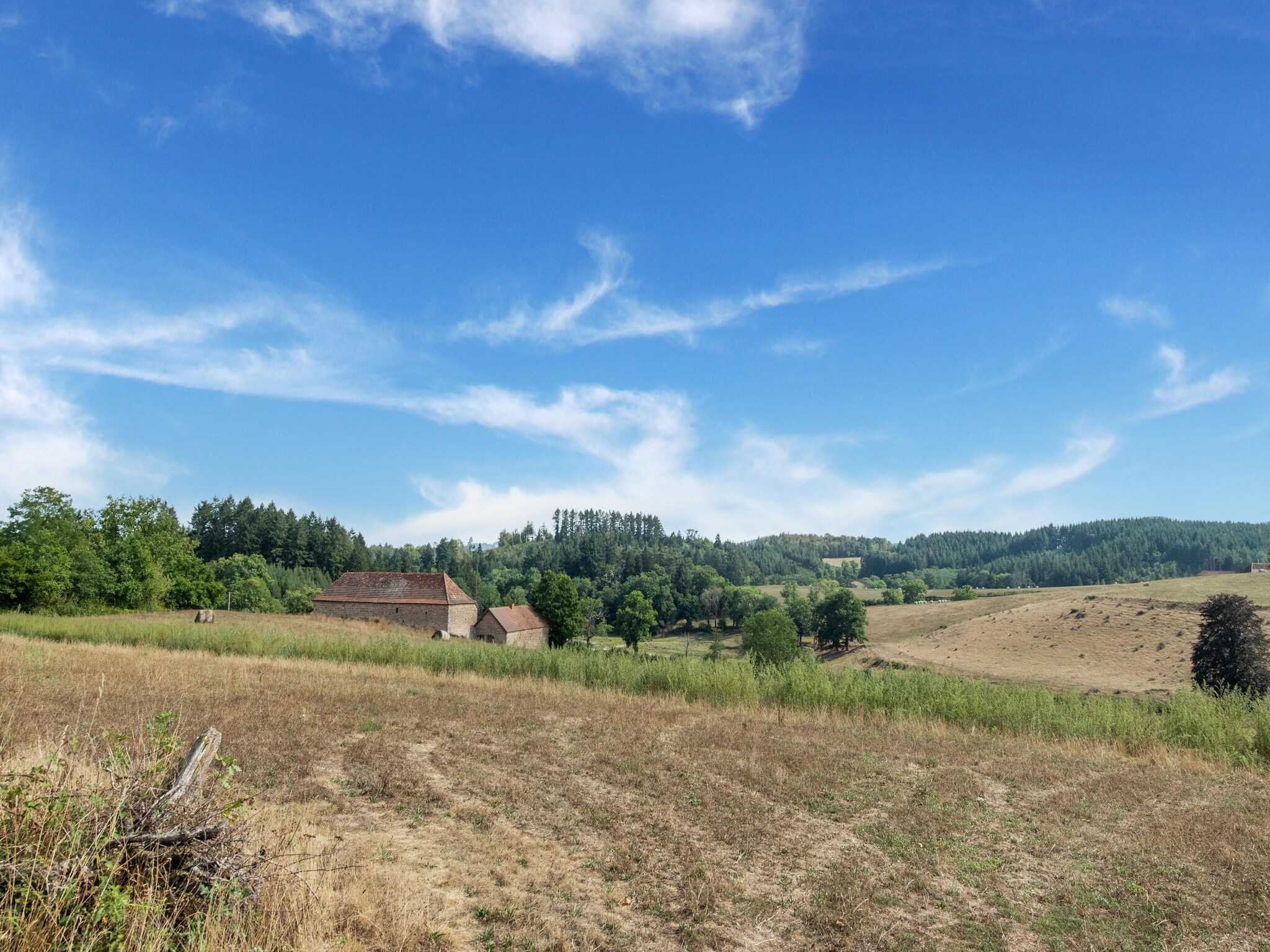   GITE DE L'ARBORETUM