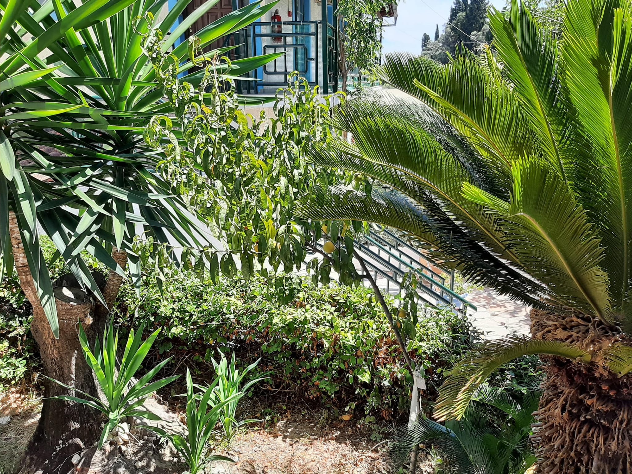 Appartement Andromaches Apartments Studio for 2