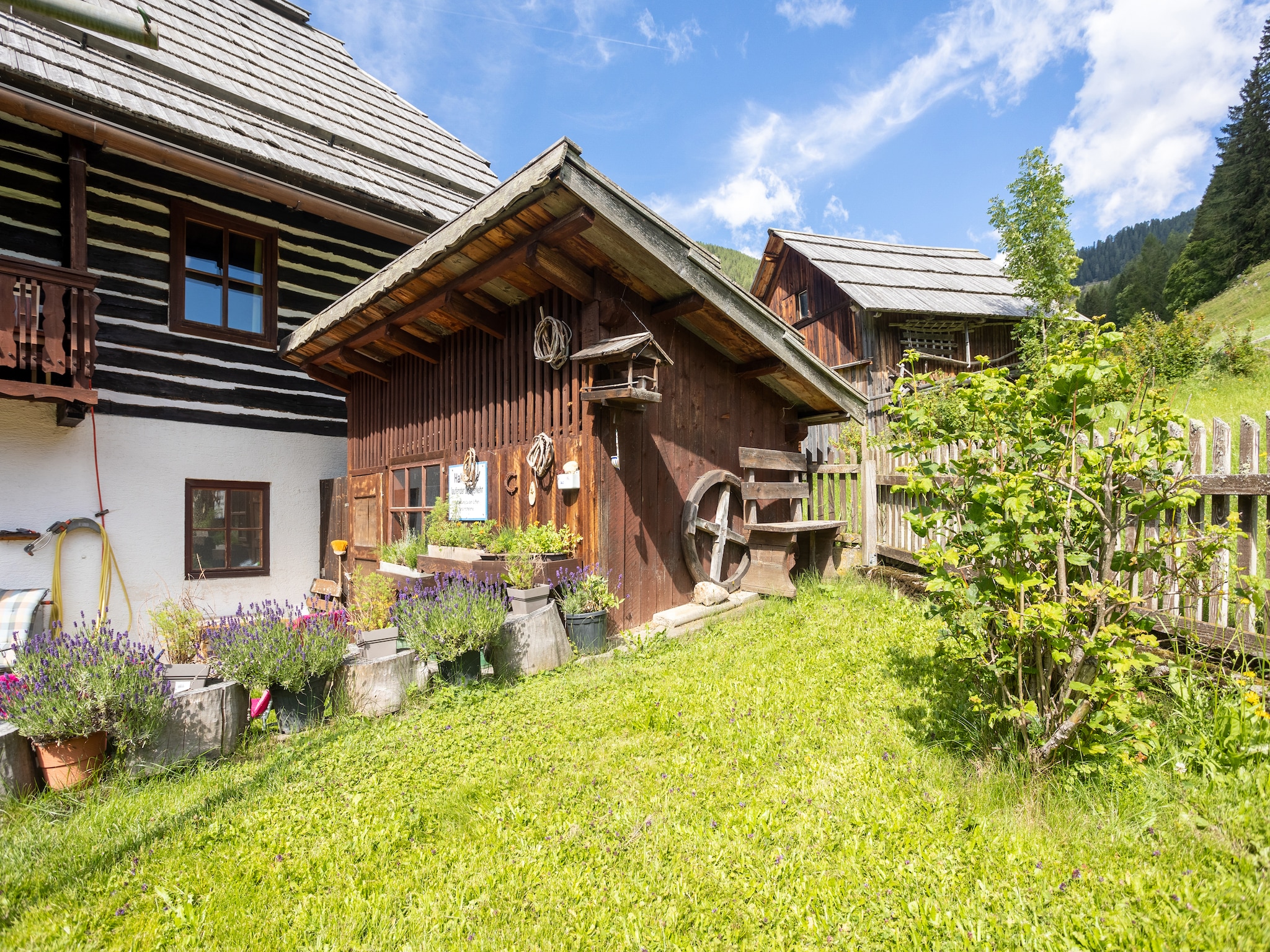   Pension Alte Schule