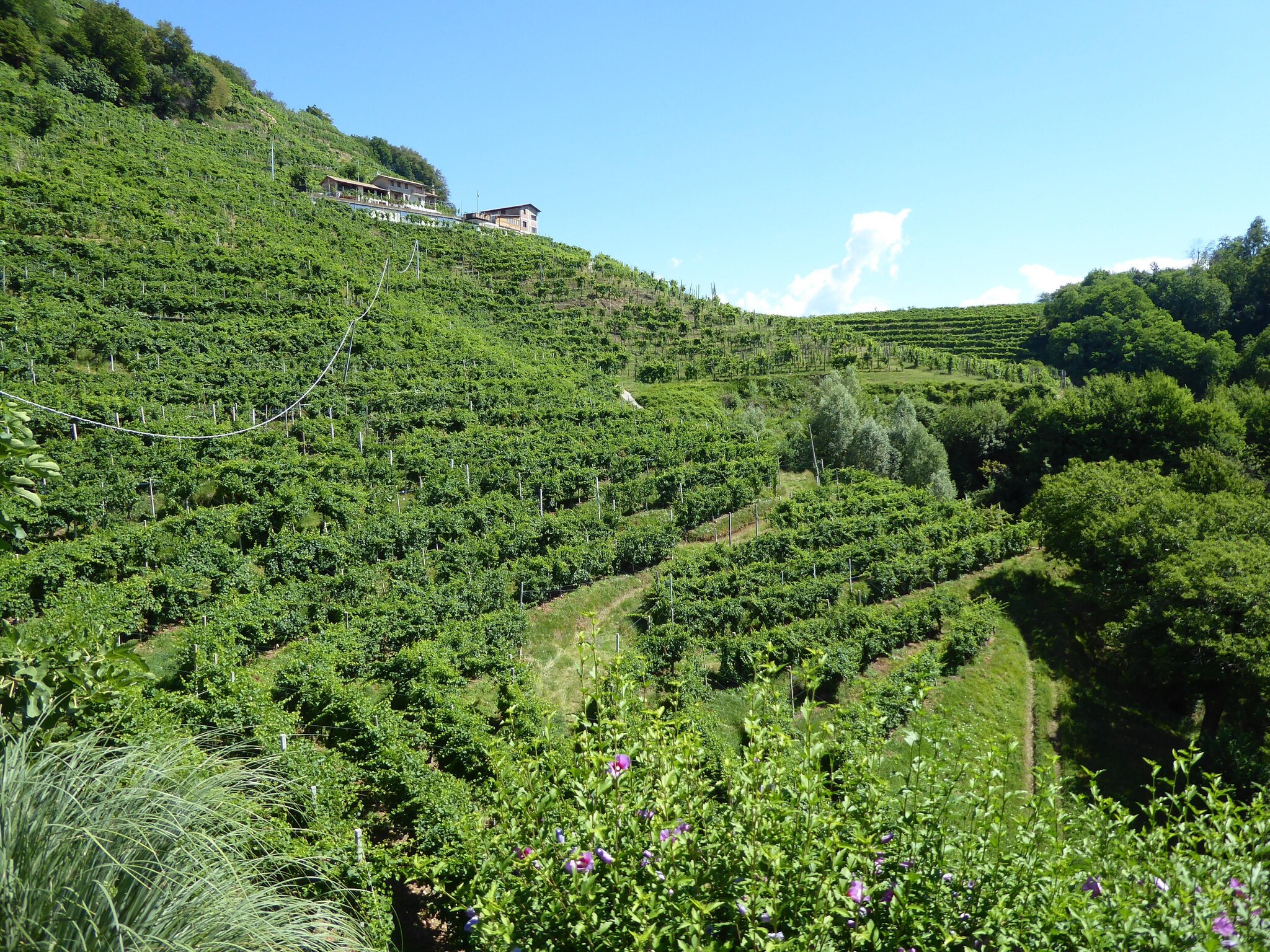   Riva dei Tor