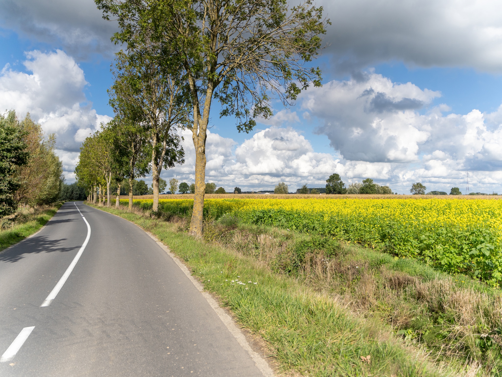 Vakantiehuis De Korte Lindehoeve