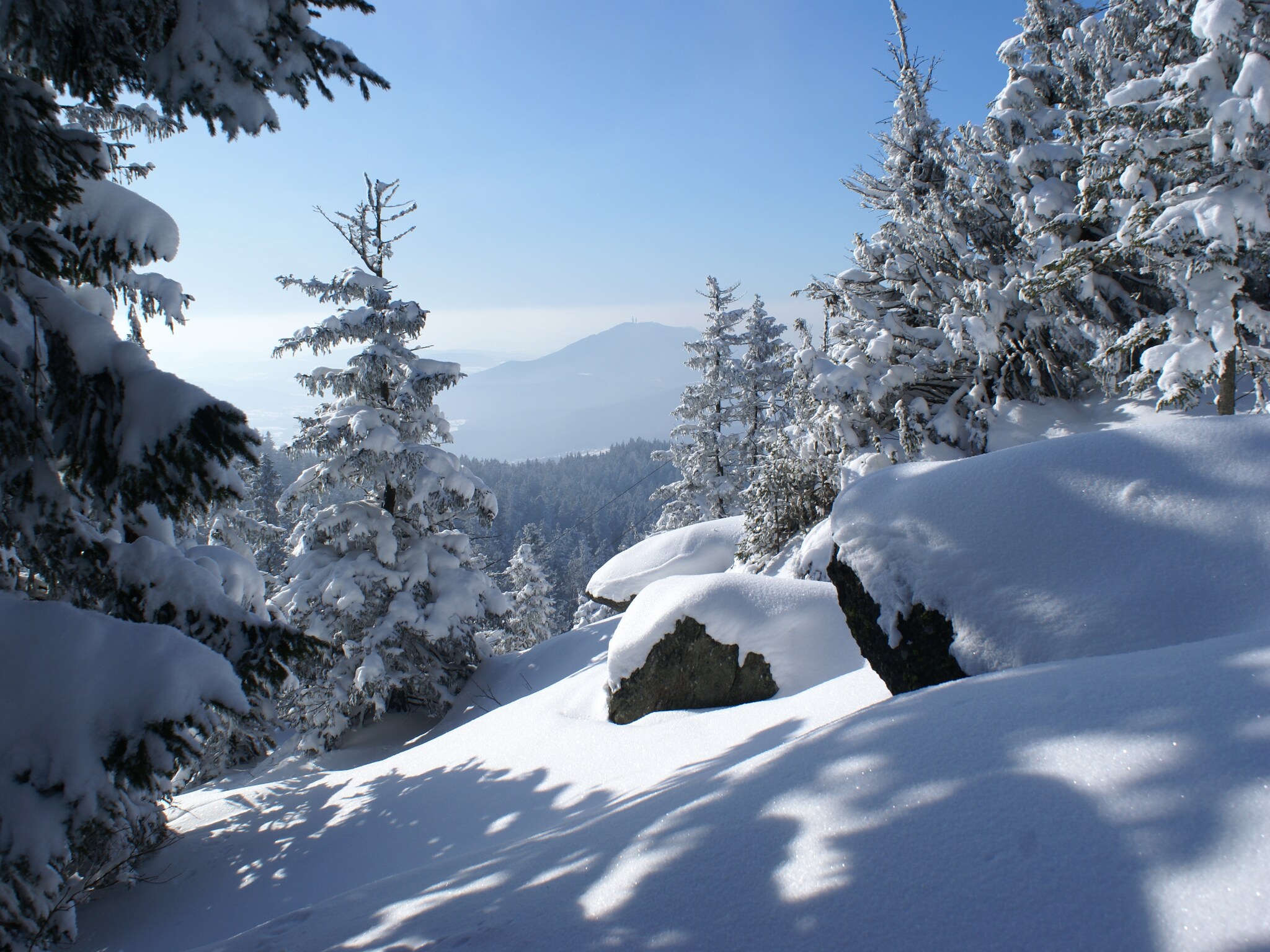   Im Zellertal