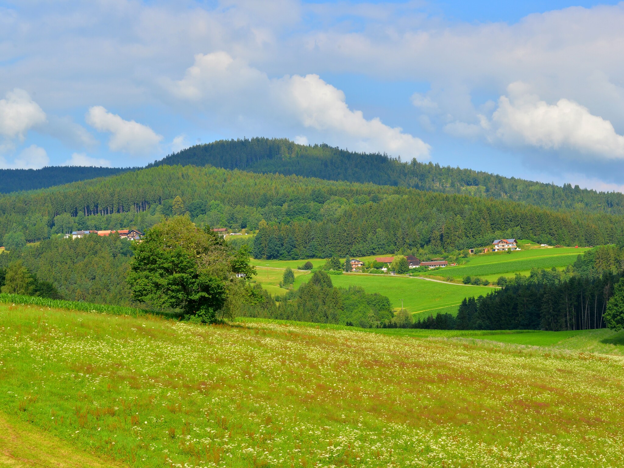   Im Zellertal