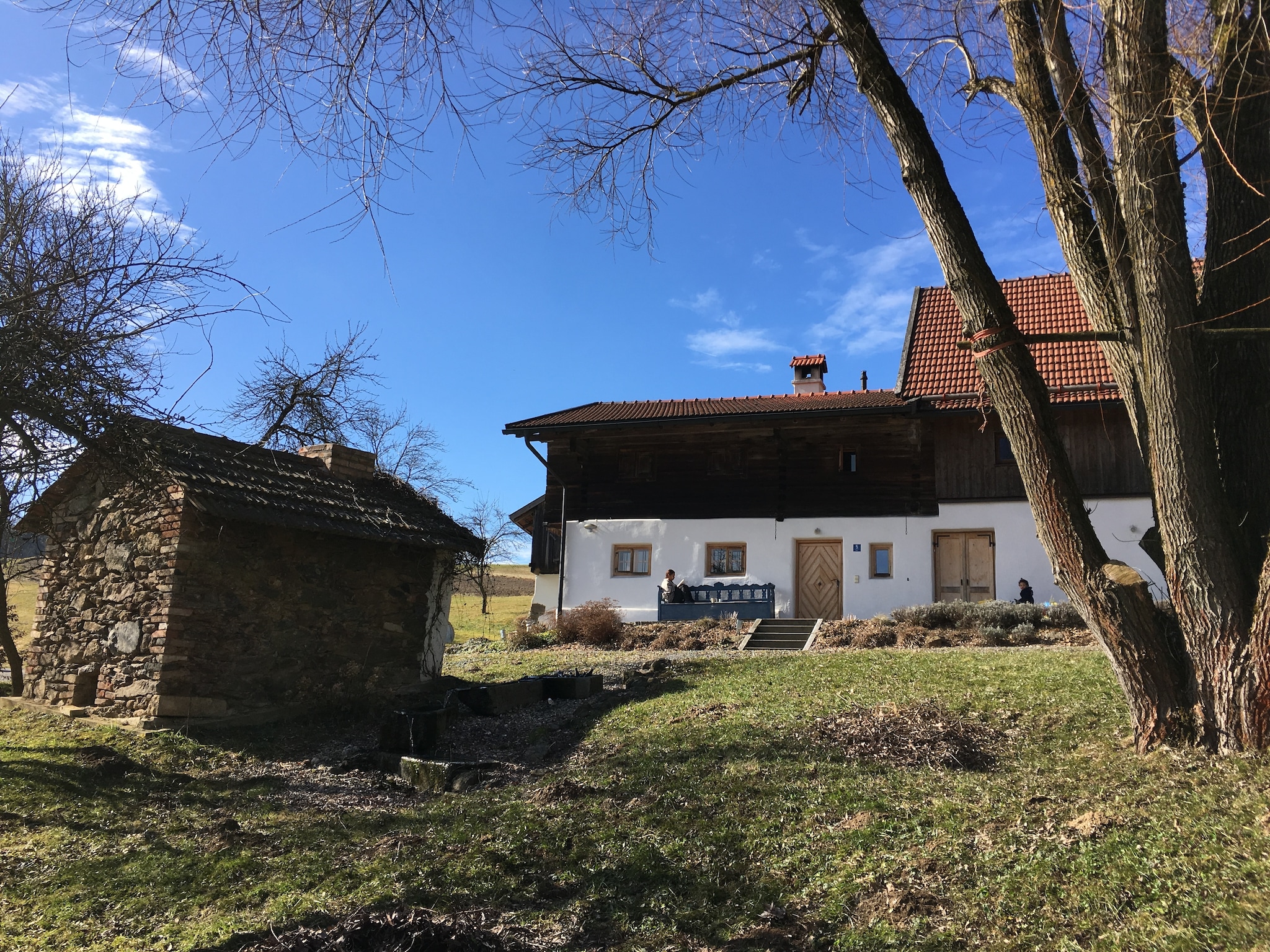   Kreut