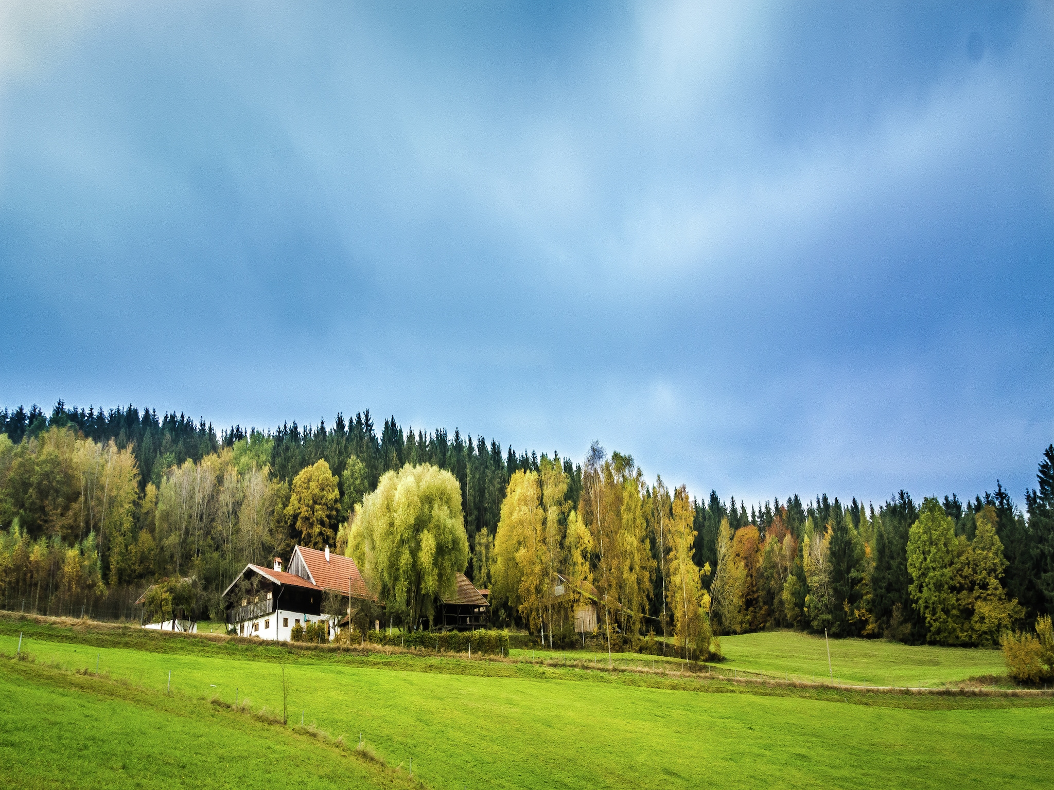   Kreut