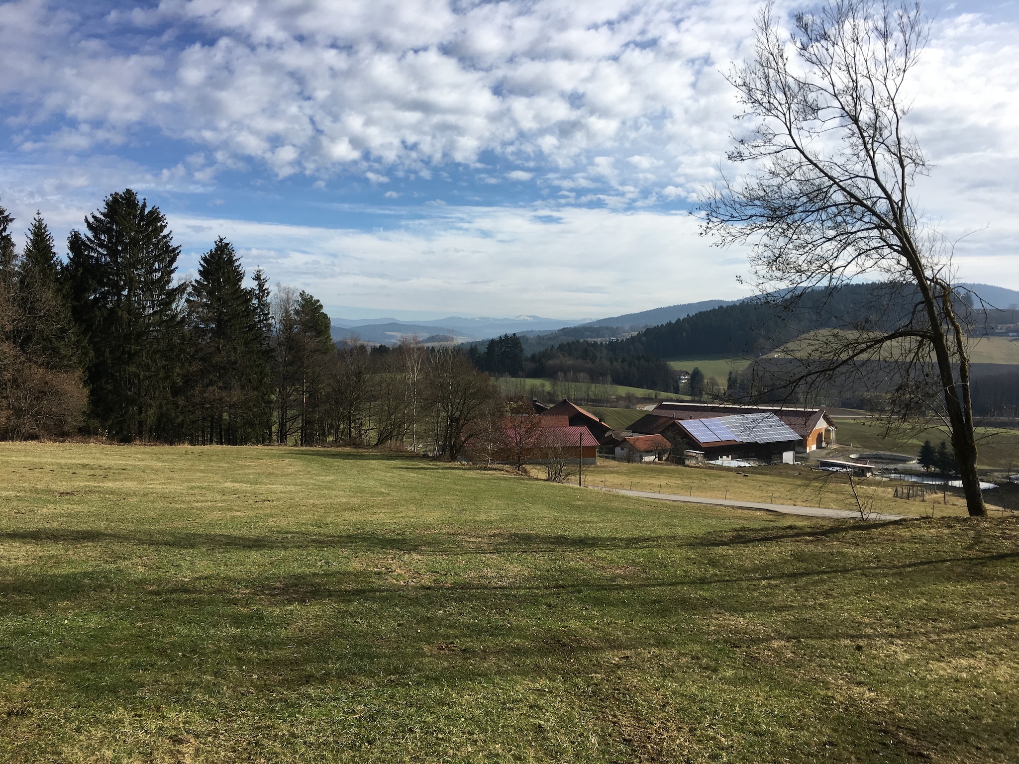  Kreut