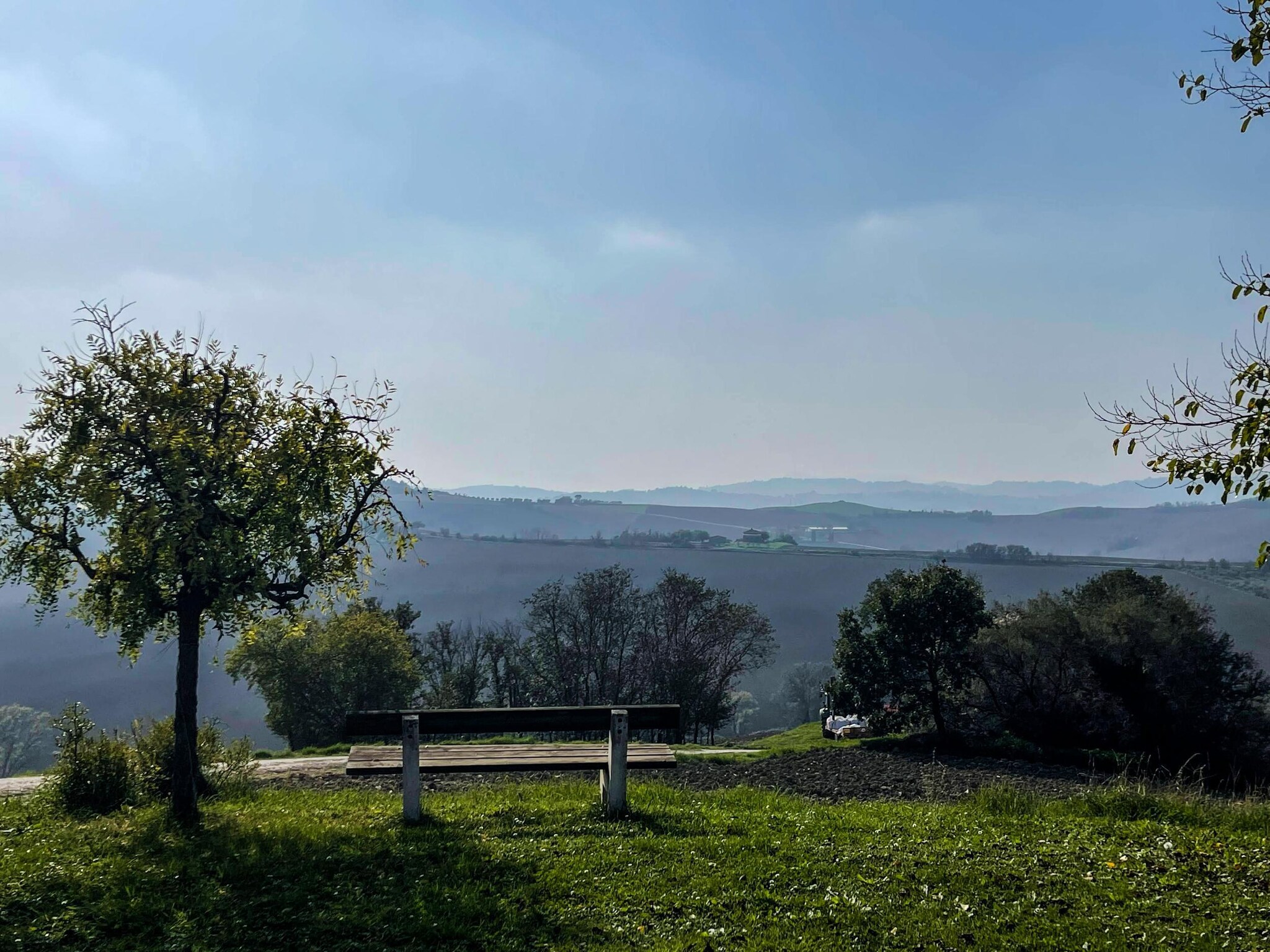   Il Sogno delle Api