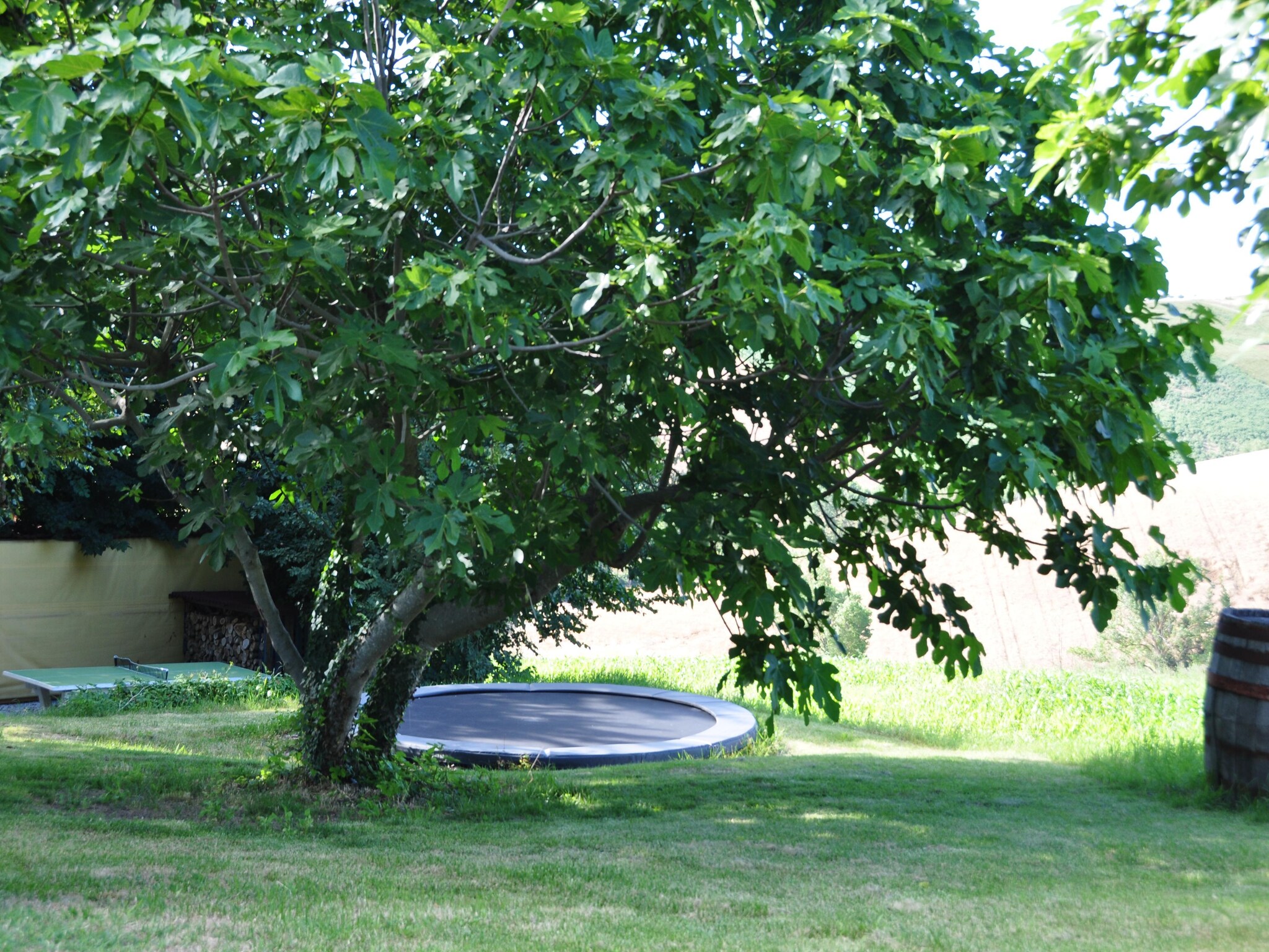 Apartment Papavero