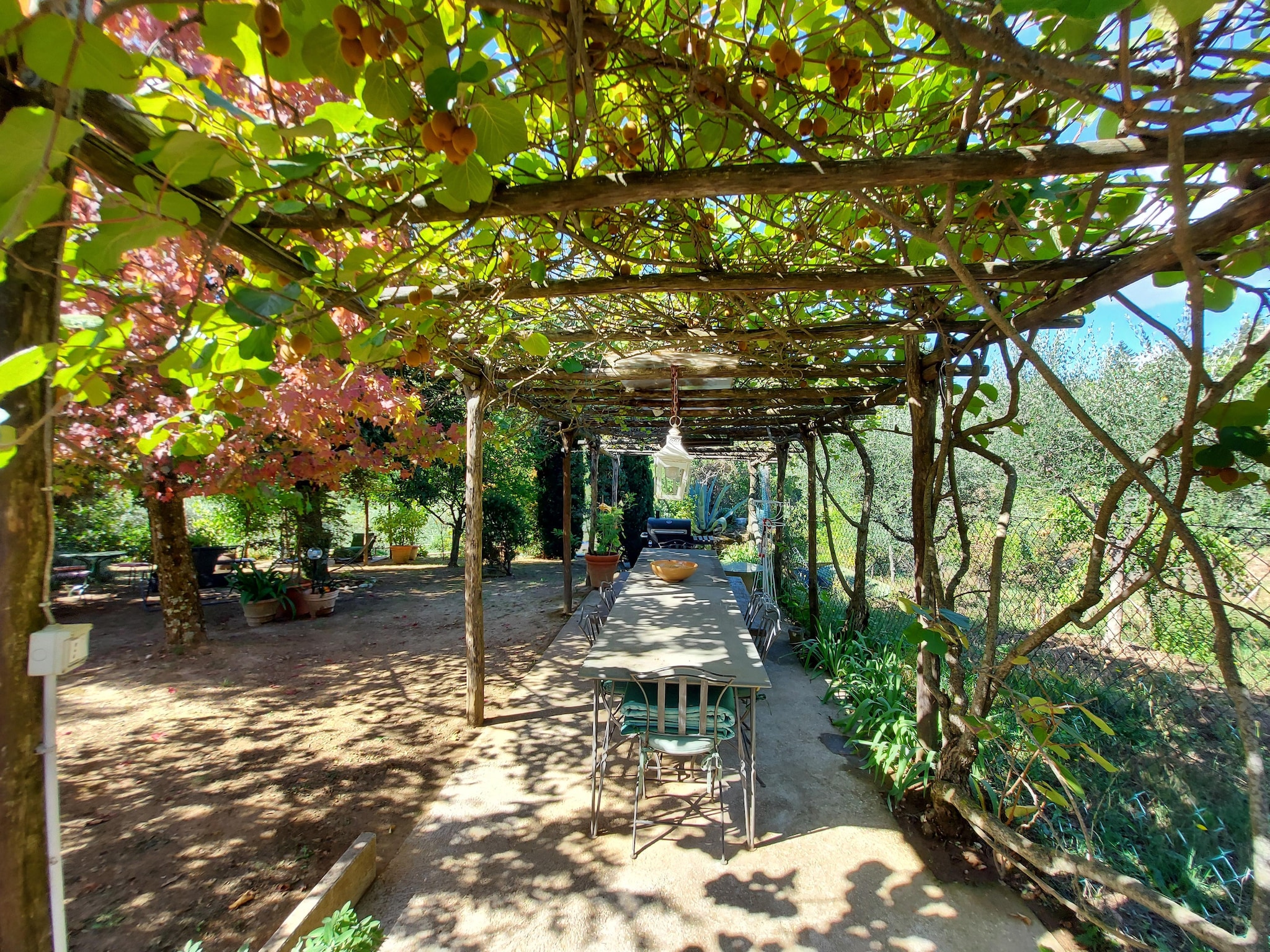   Casa Foce