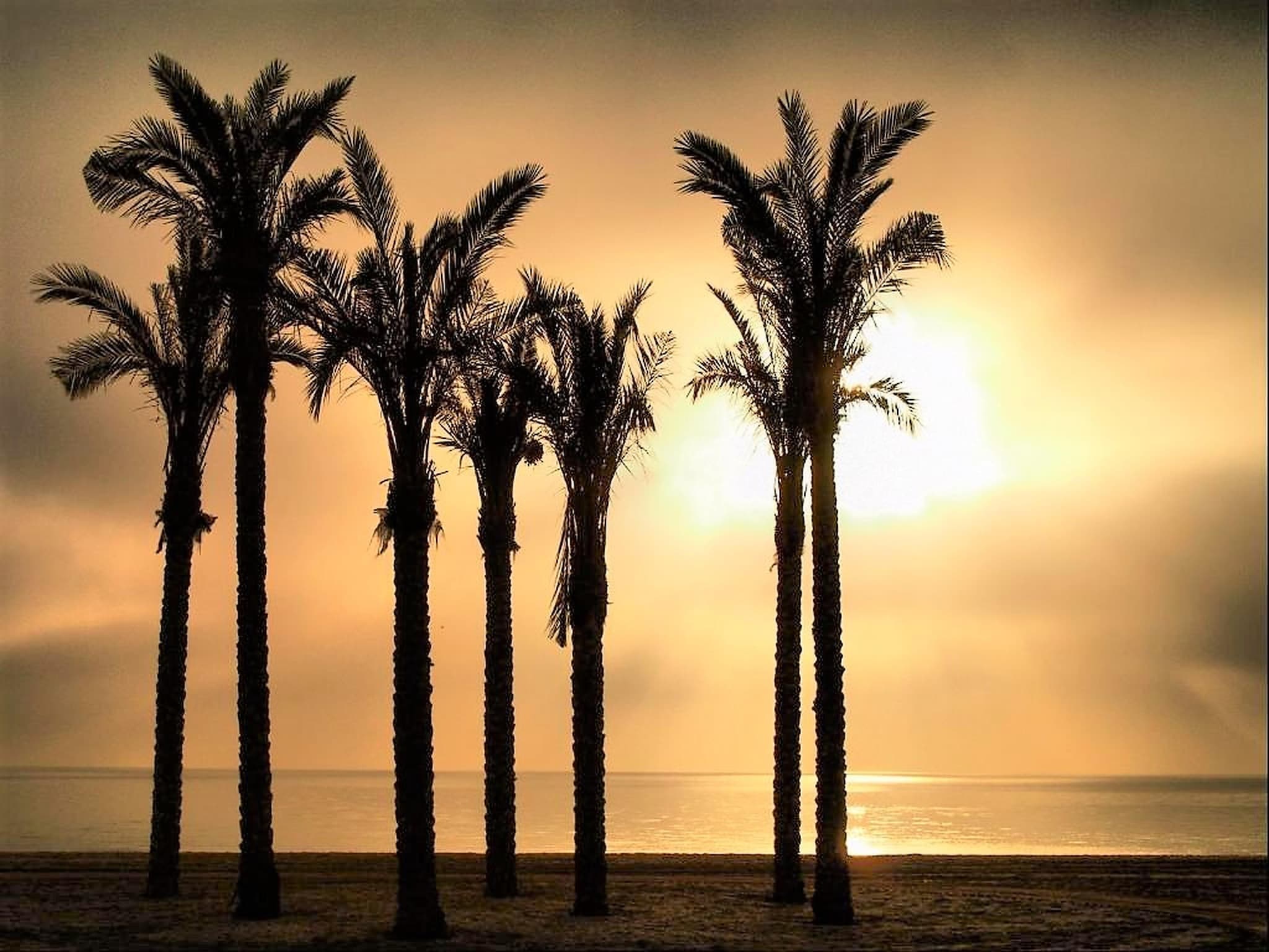 Lägenhet Residencial Mediterraneo