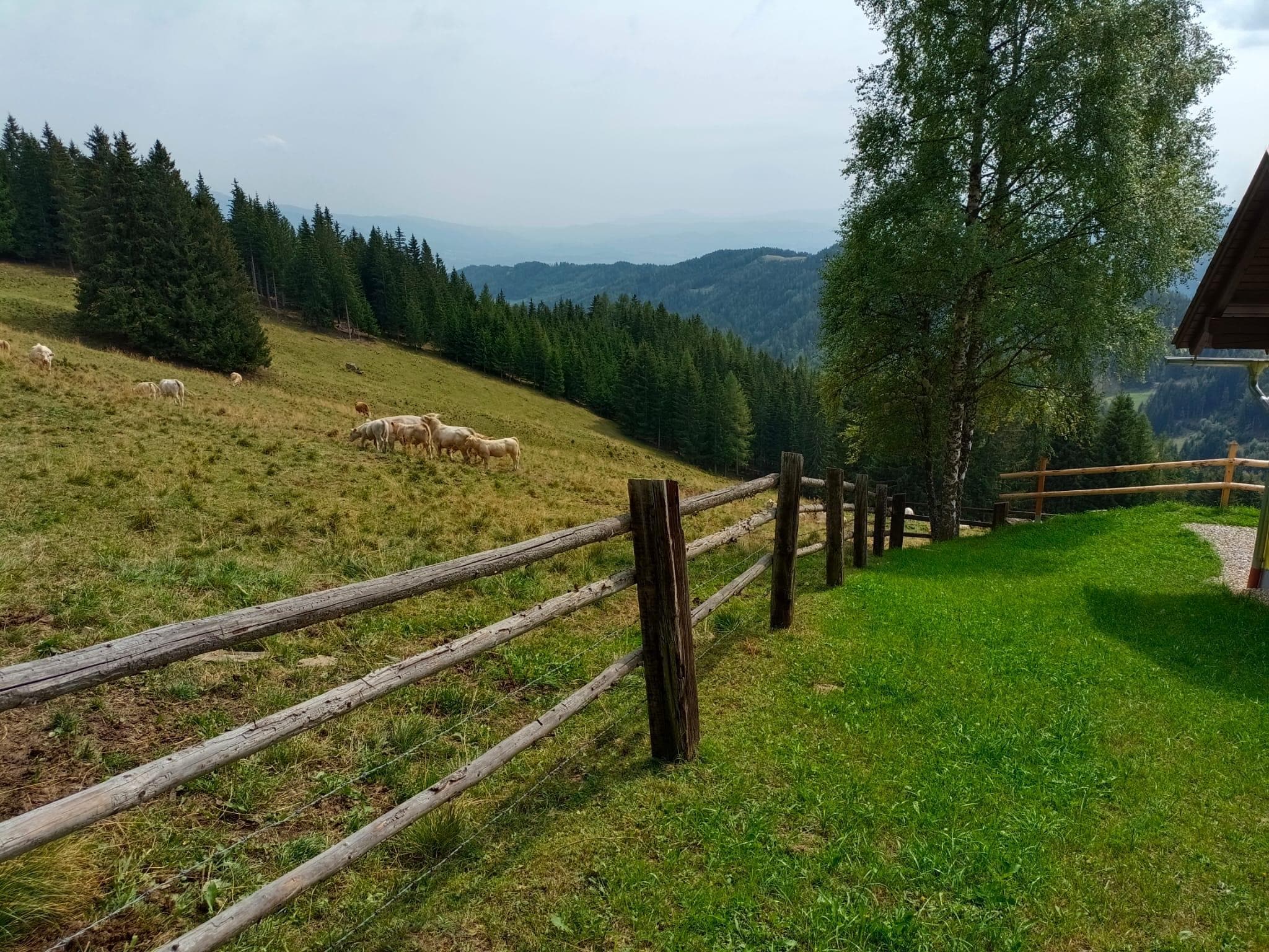   Graslerhütte
